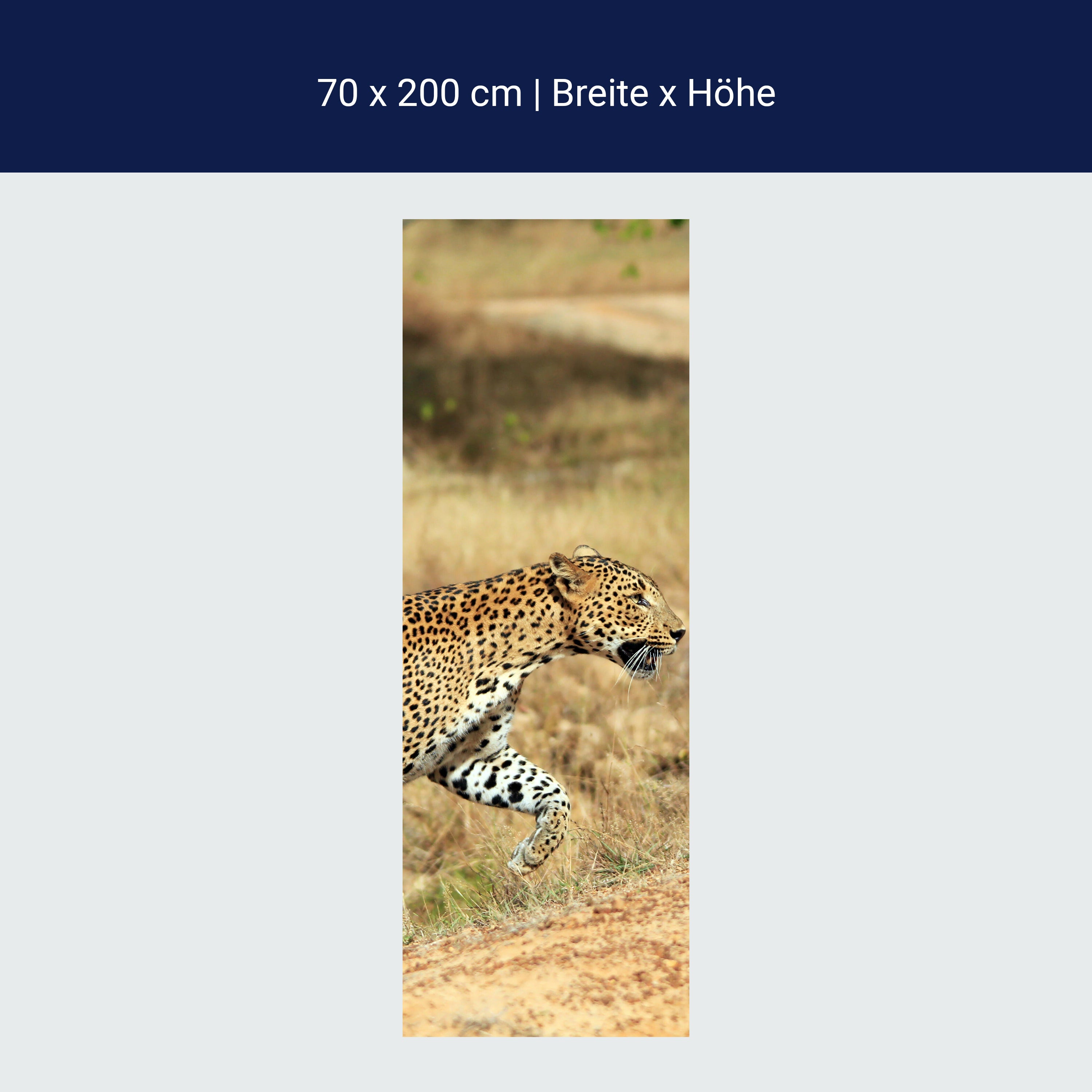 Türtapete Sri-Lankischer Leopard M1058 Türtapete Sri-Lankischer Leopard M1058