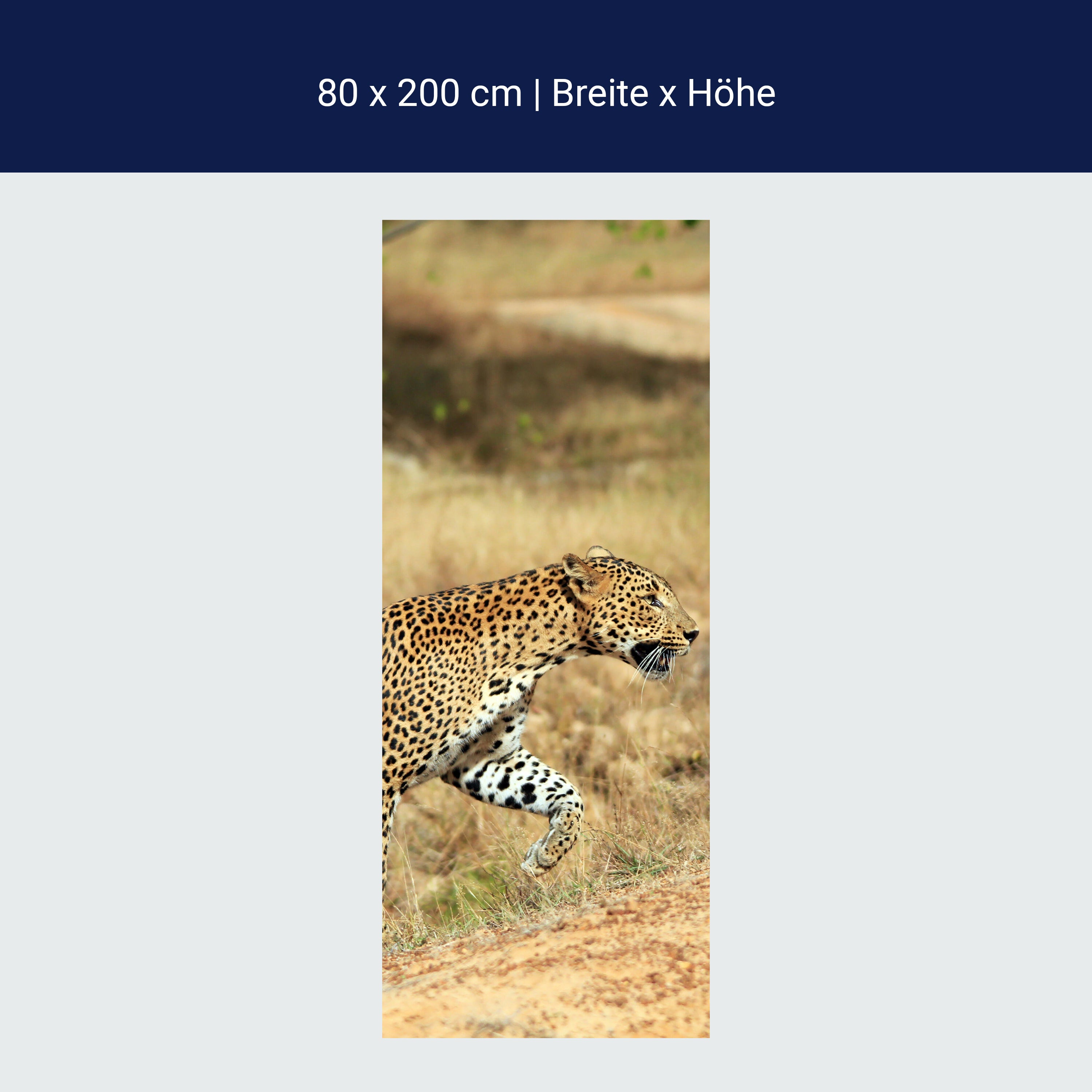 Türtapete Sri-Lankischer Leopard M1058 Türtapete Sri-Lankischer Leopard M1058