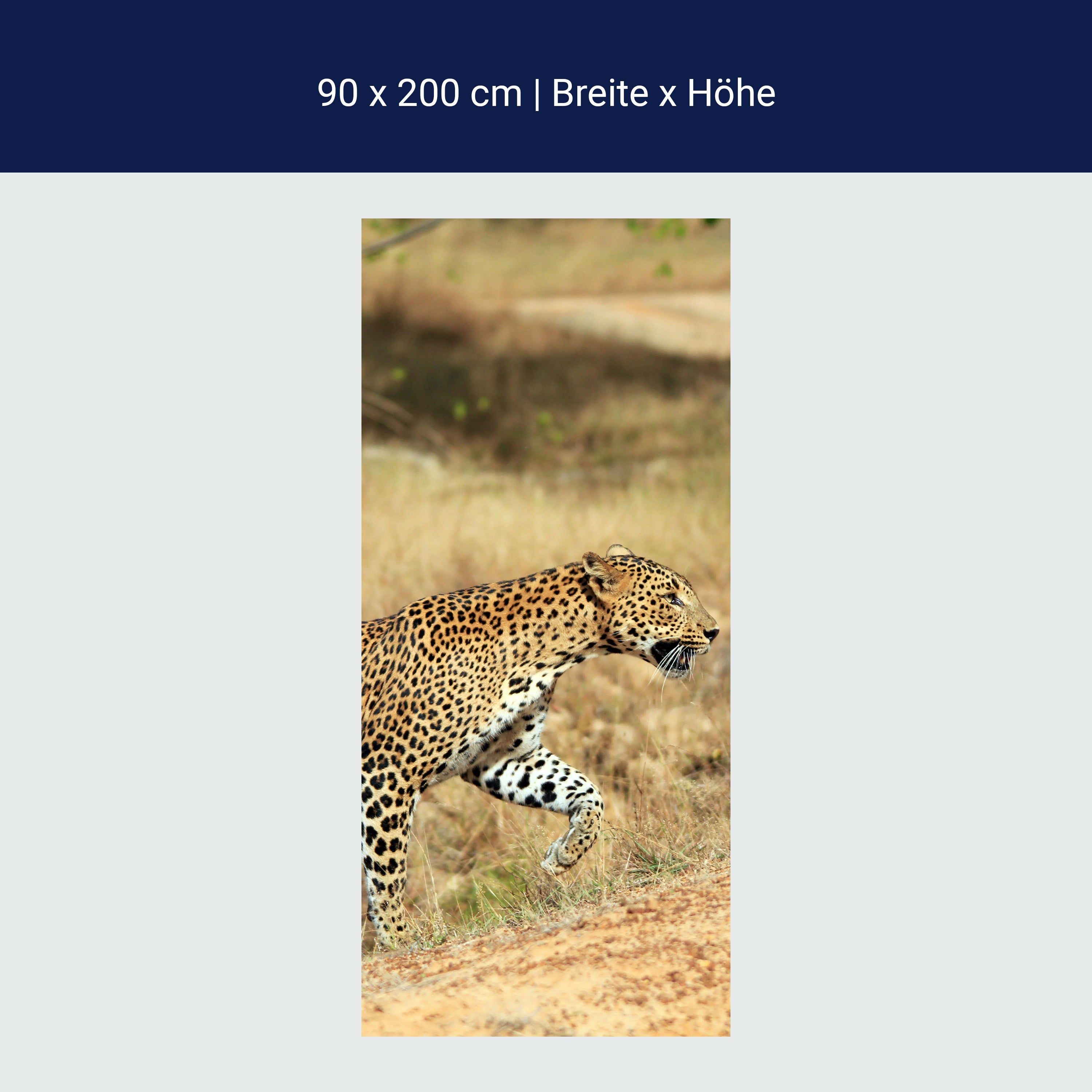 Türtapete Sri-Lankischer Leopard M1058 Türtapete Sri-Lankischer Leopard M1058