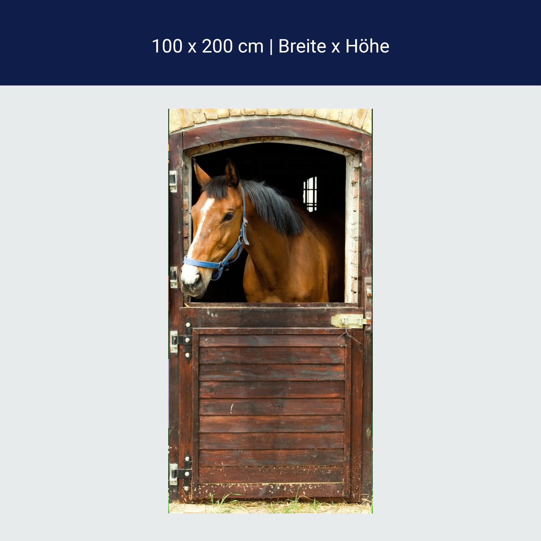 Türtapete Pferd an Stall-tür, Pferde, Tiere, Holz M1070 Türtapete Pferd an Stall-tür, Pferde, Tiere, Holz M1070