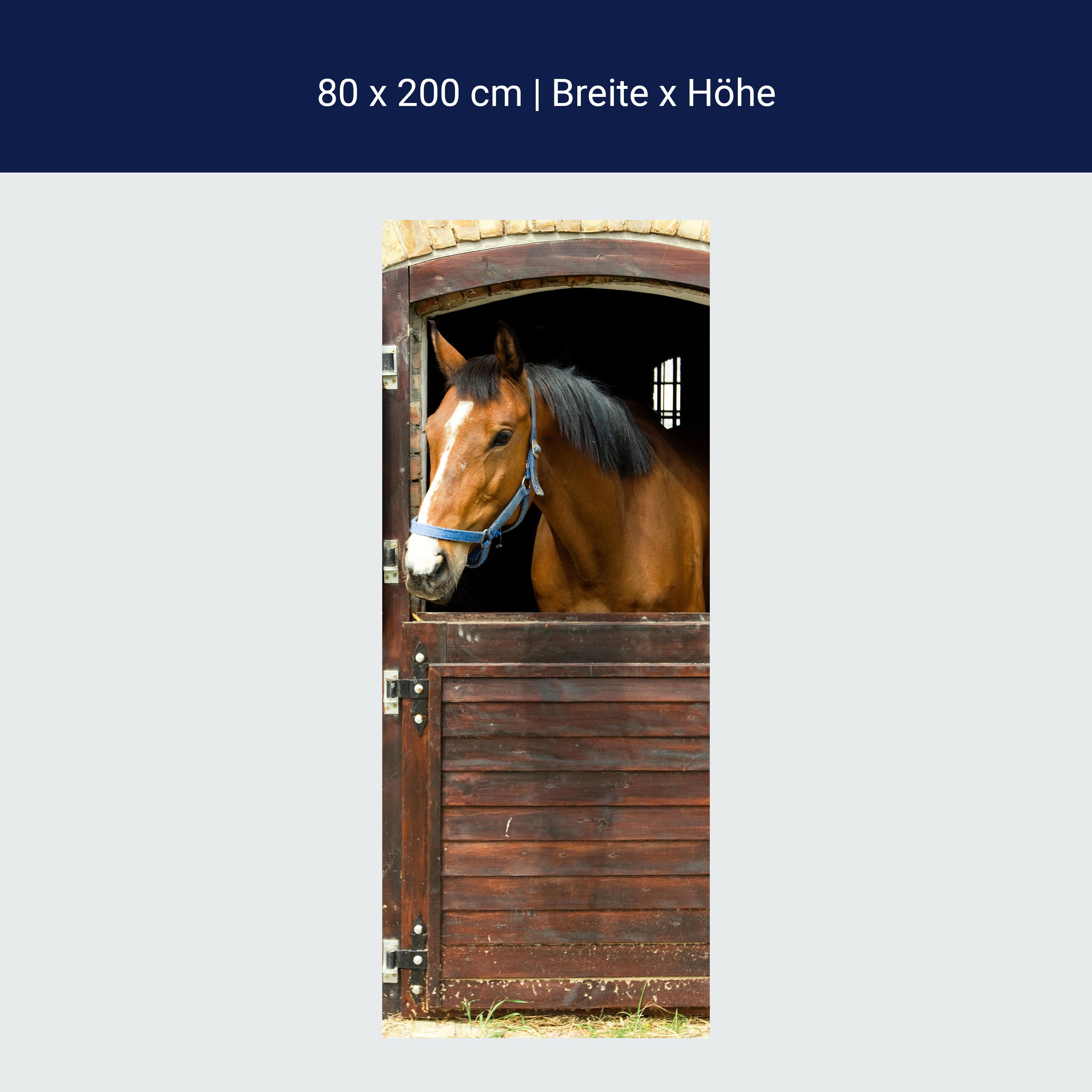 Türtapete Pferd an Stall-tür, Pferde, Tiere, Holz M1070 Türtapete Pferd an Stall-tür, Pferde, Tiere, Holz M1070