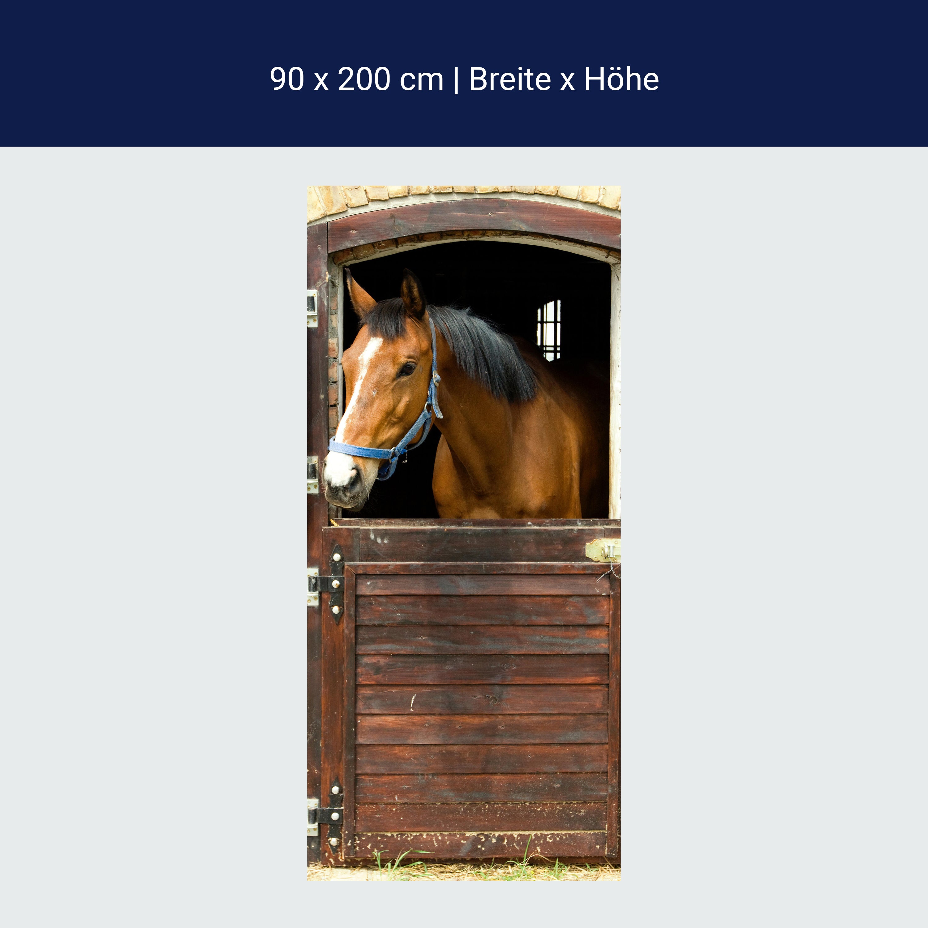 Türtapete Pferd an Stall-tür, Pferde, Tiere, Holz M1070 Türtapete Pferd an Stall-tür, Pferde, Tiere, Holz M1070