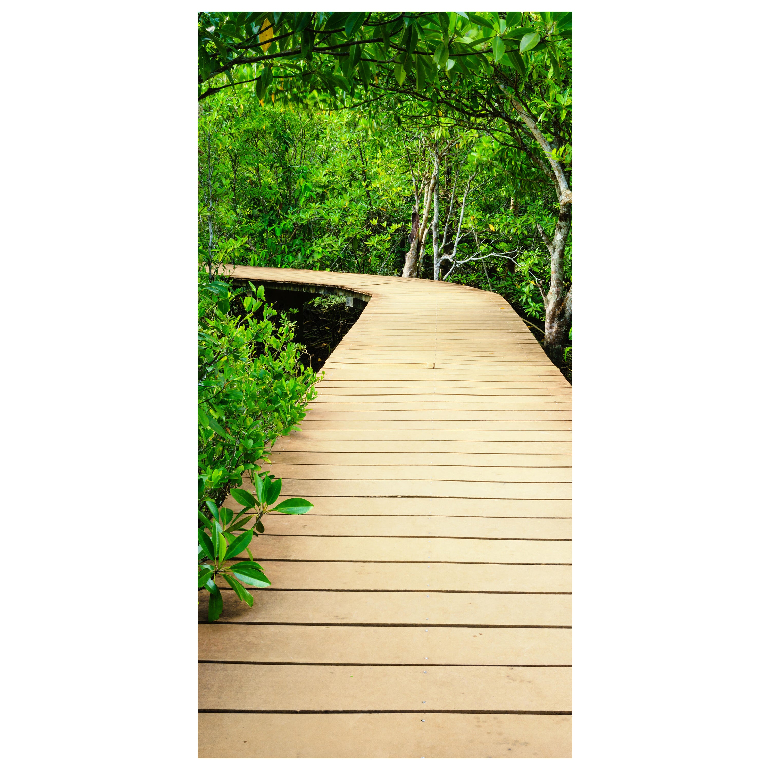 Türtapete moderner Holz-steg im Wald, Weg, Natur M1078 - Bild 2 Türtapete moderner Holz-steg im Wald, Weg, Natur M1078 - Bild 2