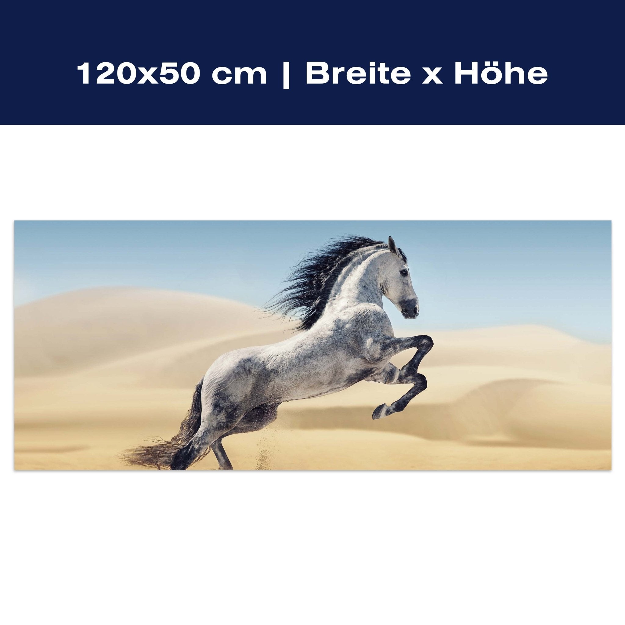 Leinwandbild Pferd, weiß, grau, Sand, Wüste M1110 Leinwandbild Pferd, weiß, grau, Sand, Wüste M1110