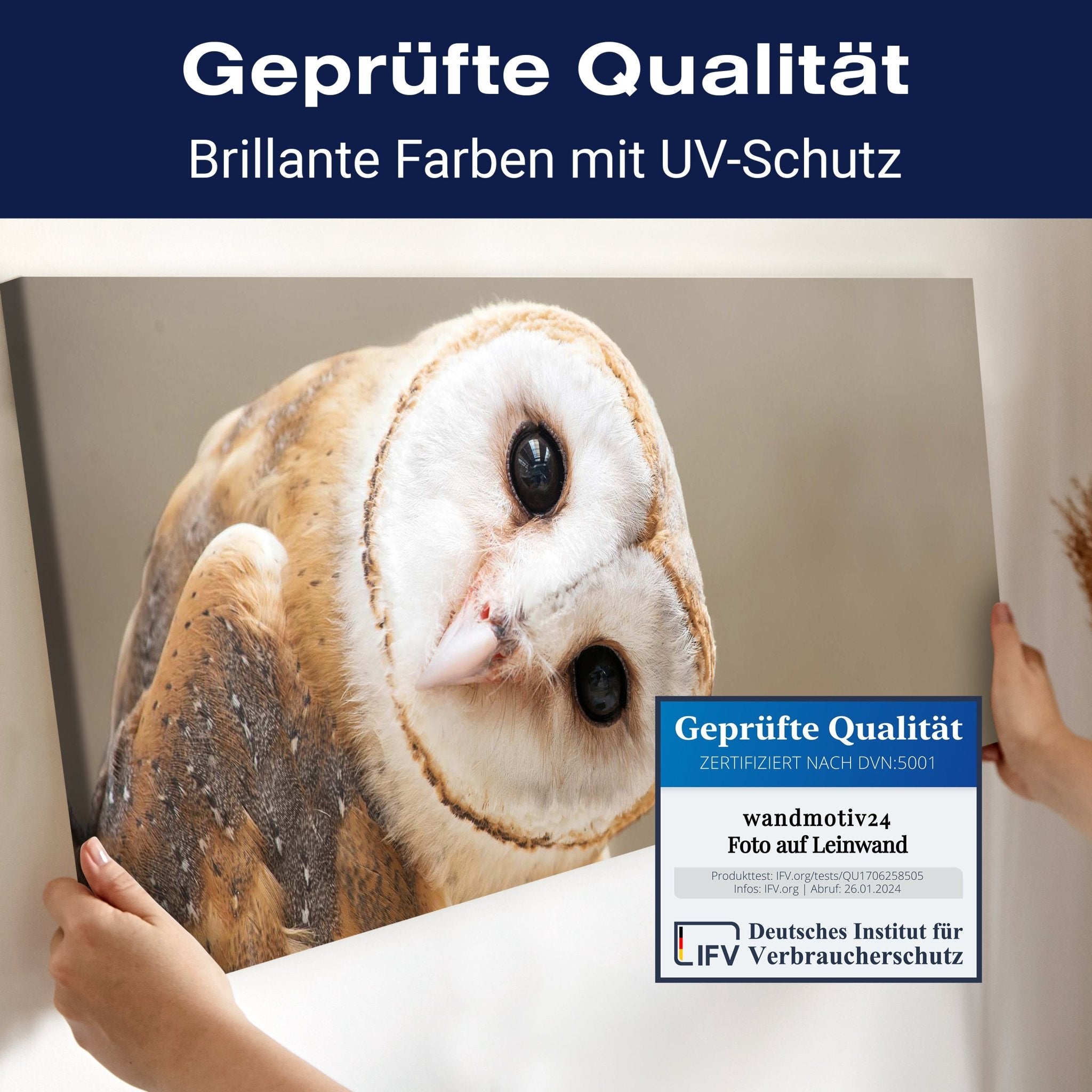 Leinwandbild Eule, Kauz, Tier, Vogel M1112 kaufen - Bild 4 Leinwandbild Eule, Kauz, Tier, Vogel M1112 kaufen - Bild 4