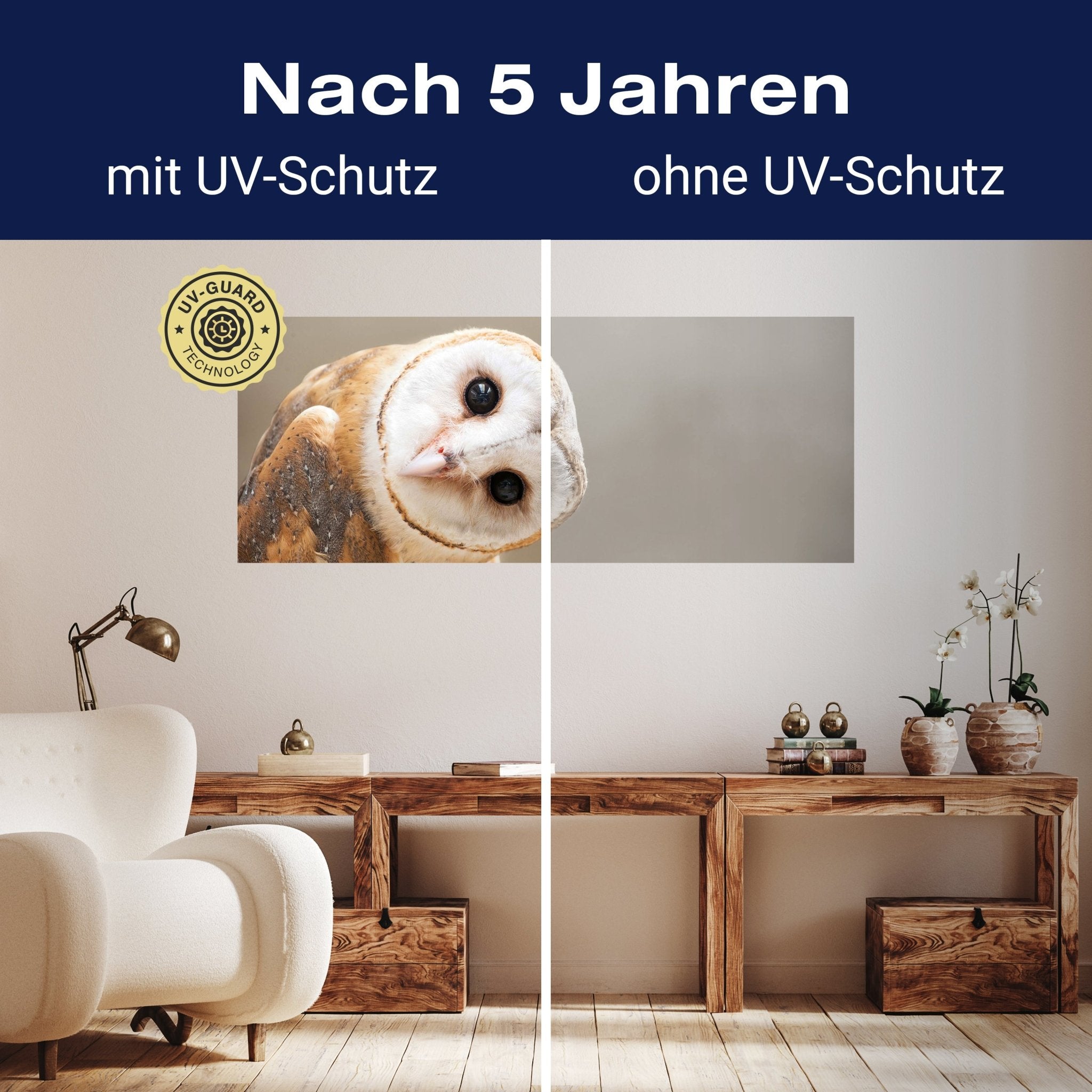 Leinwandbild Eule, Kauz, Tier, Vogel M1112 kaufen - Bild 9 Leinwandbild Eule, Kauz, Tier, Vogel M1112 kaufen - Bild 9