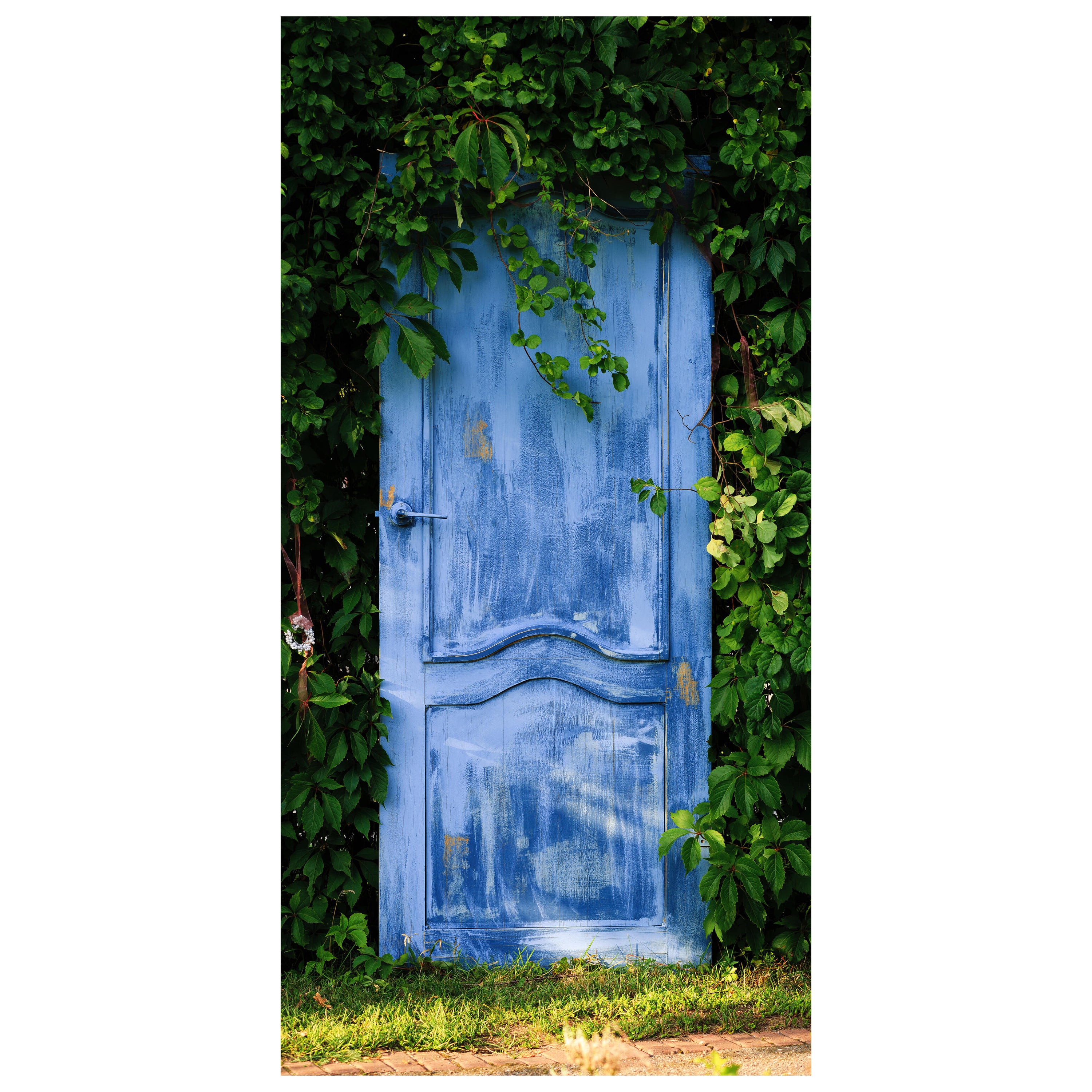 Türtapete verwachsene Holz-tür, Pflanzen, Efeu M1112 - Bild 2 Türtapete verwachsene Holz-tür, Pflanzen, Efeu M1112 - Bild 2