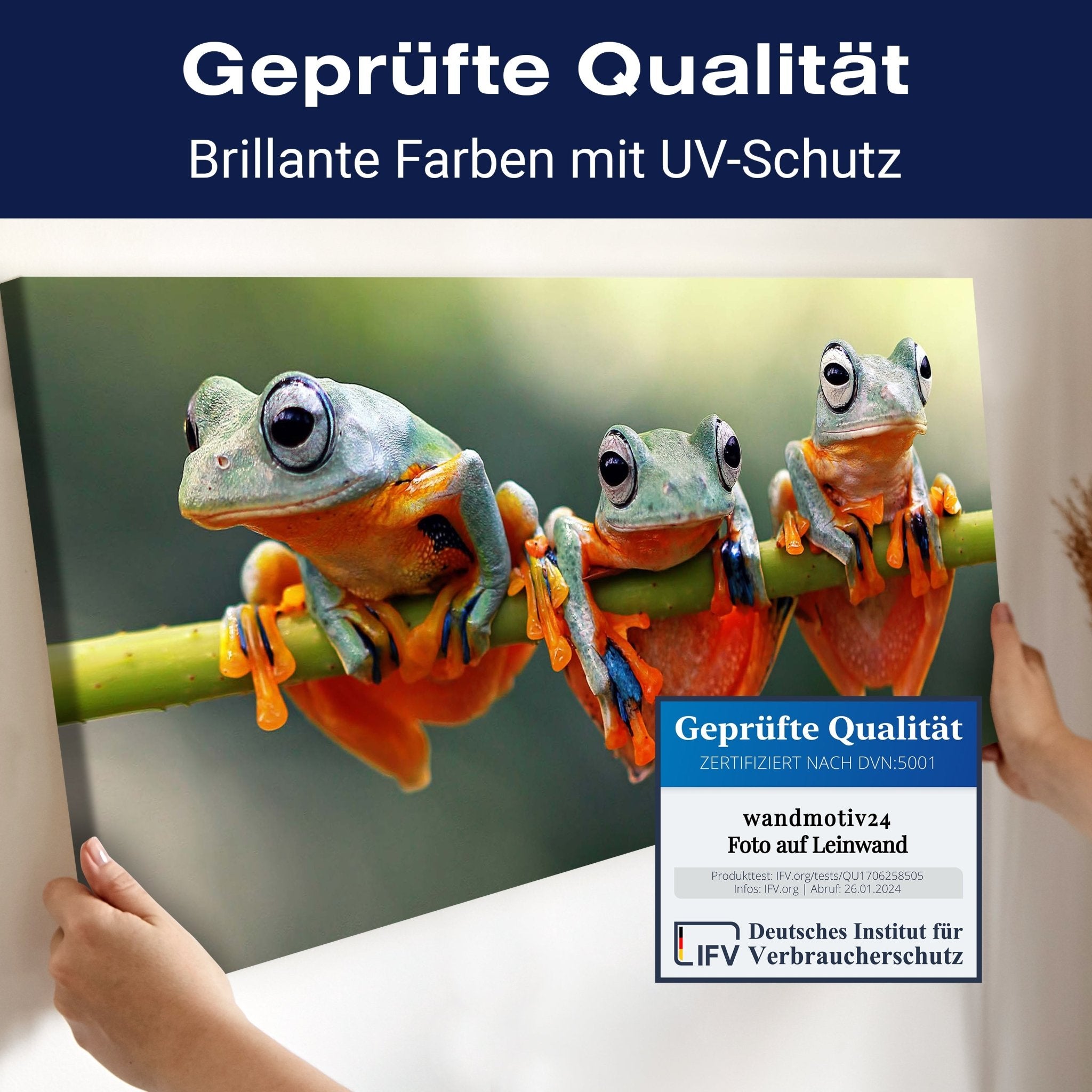 Leinwandbild Frosch, Frösche, Zweig, grün, orange M1113 kaufen - Bild 4 Leinwandbild Frosch, Frösche, Zweig, grün, orange M1113 kaufen - Bild 4