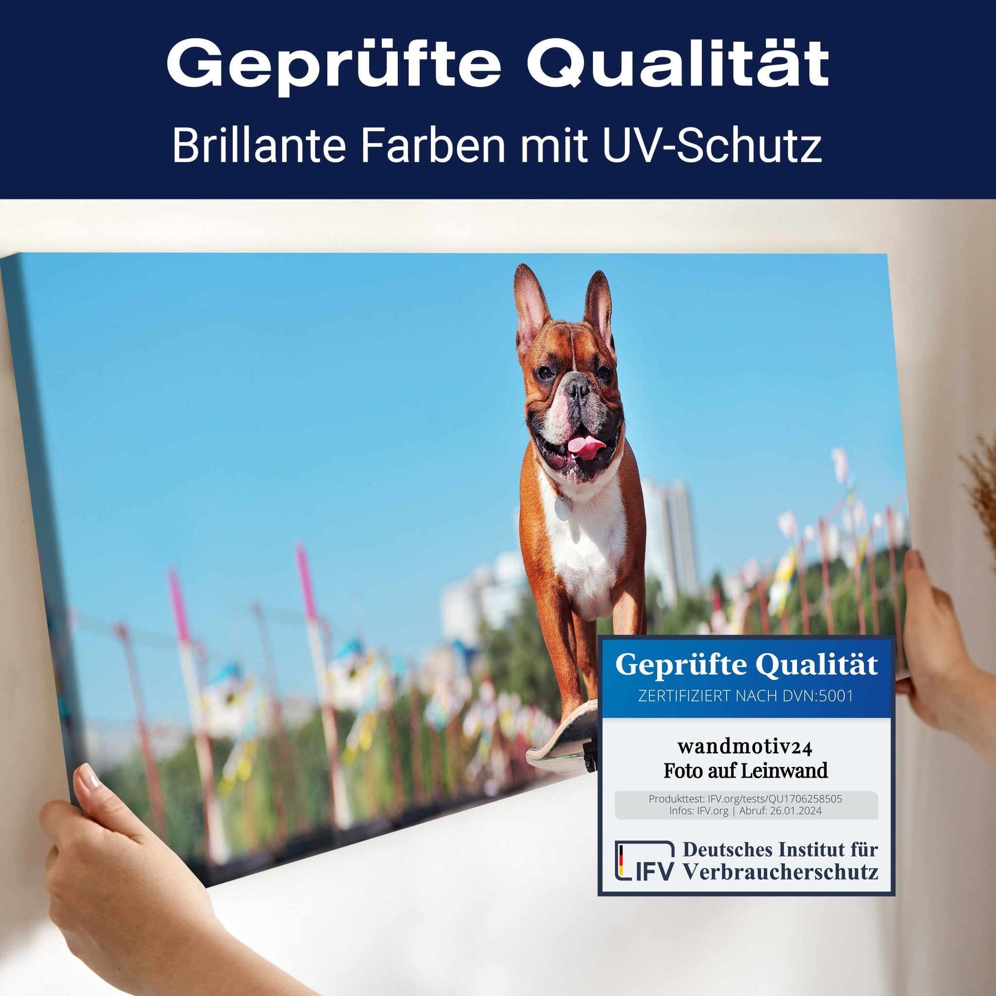 Leinwandbild französische Bulldogge, Hund, Skateboard M1118 kaufen - Bild 4 Leinwandbild französische Bulldogge, Hund, Skateboard M1118 kaufen - Bild 4