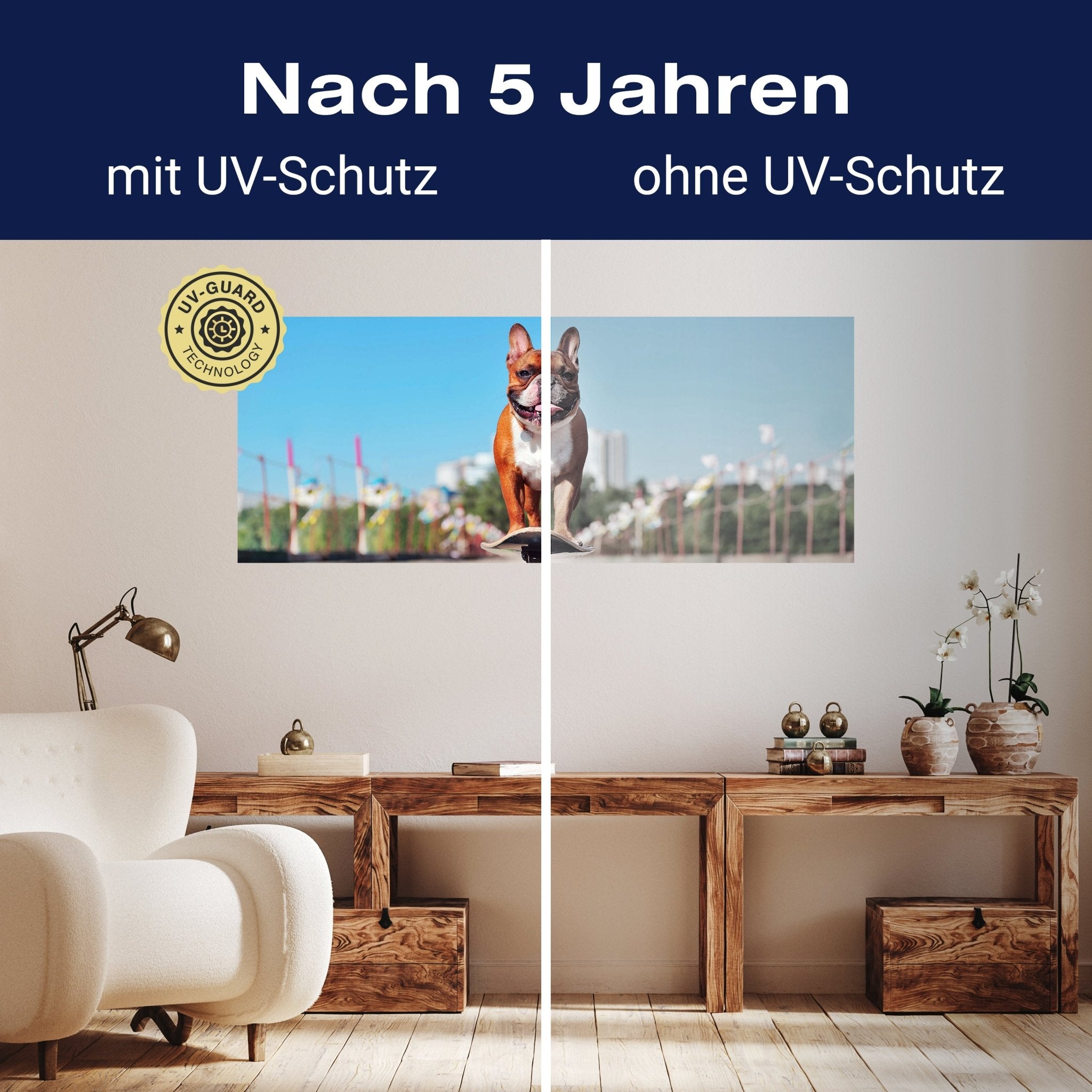 Leinwandbild französische Bulldogge, Hund, Skateboard M1118 kaufen - Bild 9 Leinwandbild französische Bulldogge, Hund, Skateboard M1118 kaufen - Bild 9