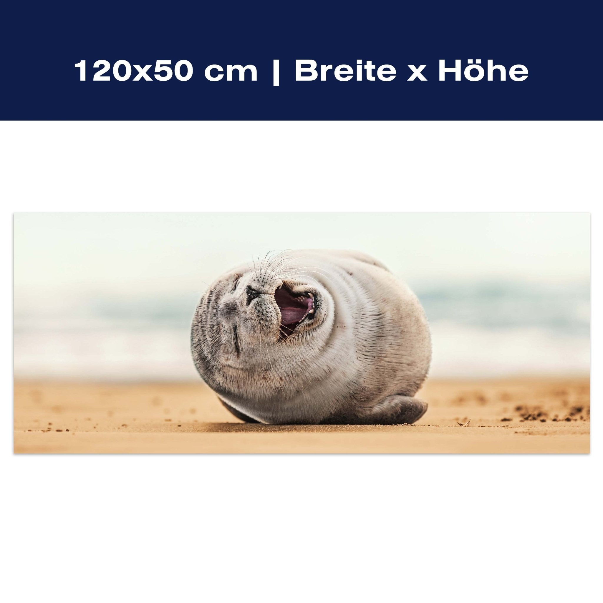 Leinwandbild Robbe, Seehund, Strand, Tier M1119 Leinwandbild Robbe, Seehund, Strand, Tier M1119