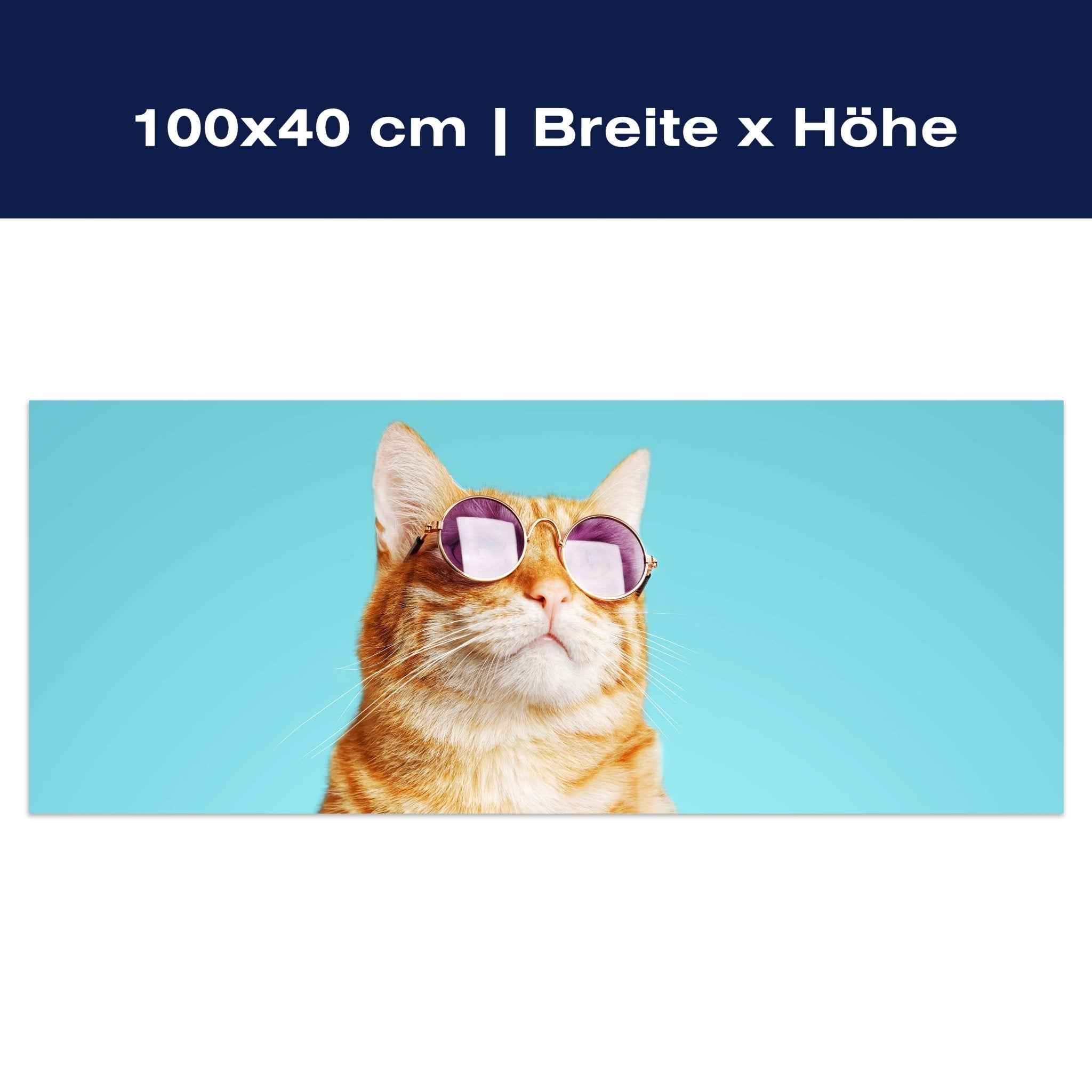 Leinwandbild gestreifte Katze, violette Sonnenbrille M1120 Leinwandbild gestreifte Katze, violette Sonnenbrille M1120