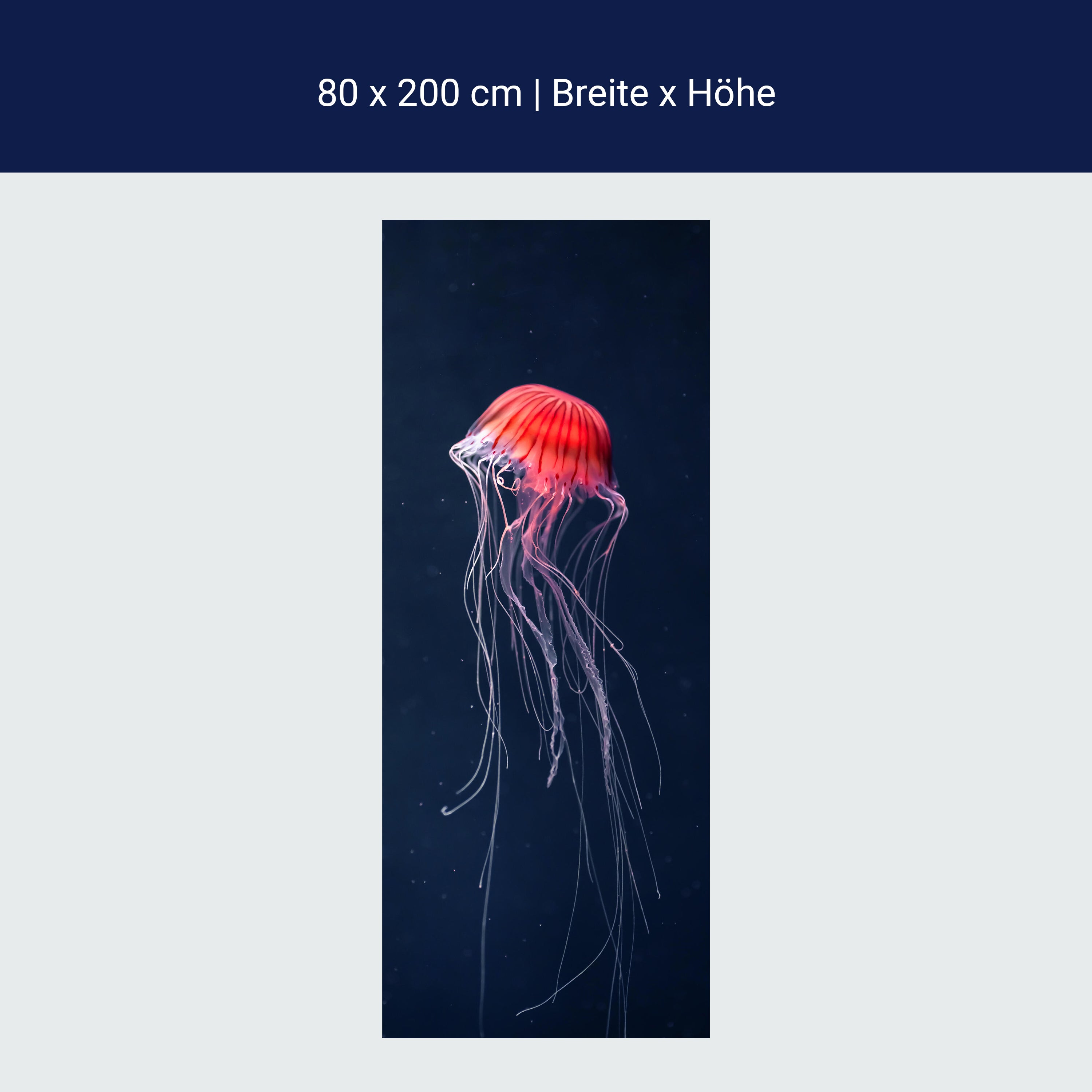 Türtapete Rote Qualle im Meer, Dunkelheit, Tier M1121 Türtapete Rote Qualle im Meer, Dunkelheit, Tier M1121