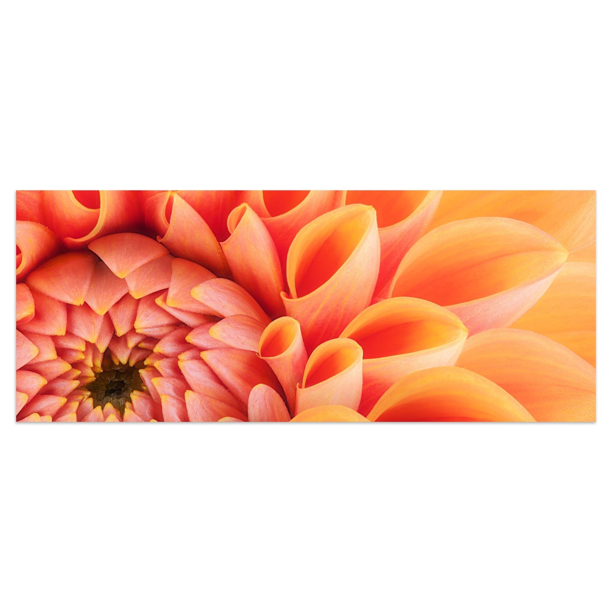Leinwandbild Blume Blüte orange Chrysantheme M1124 kaufen - Bild 1 Leinwandbild Blume Blüte orange Chrysantheme M1124 kaufen - Bild 1