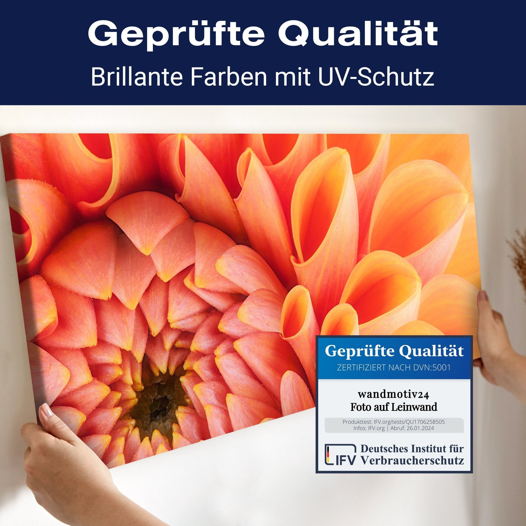 Leinwandbild Blume Blüte orange Chrysantheme M1124 kaufen - Bild 4 Leinwandbild Blume Blüte orange Chrysantheme M1124 kaufen - Bild 4