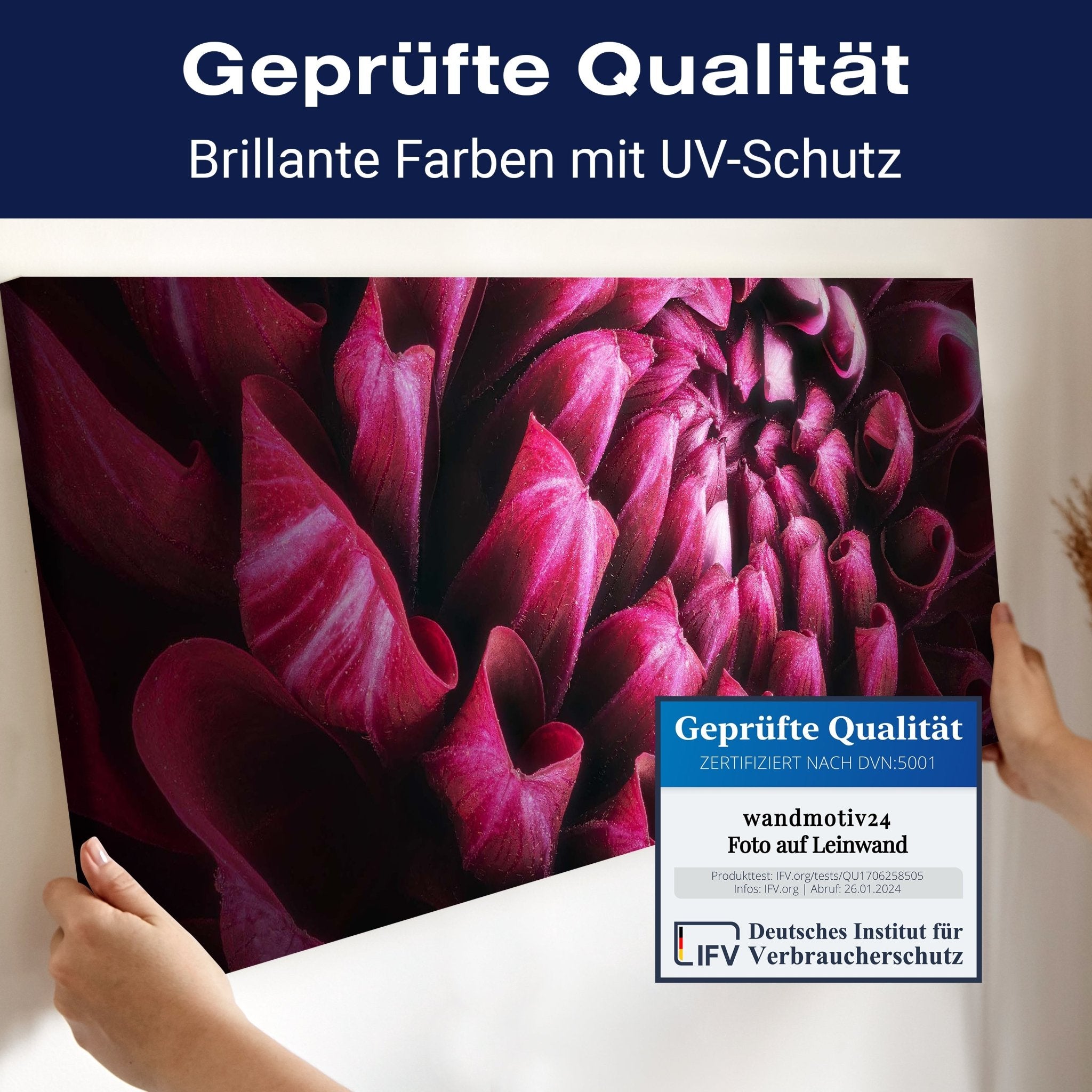 Leinwandbild Blume Blüte violett Chrysantheme M1125 kaufen - Bild 4 Leinwandbild Blume Blüte violett Chrysantheme M1125 kaufen - Bild 4