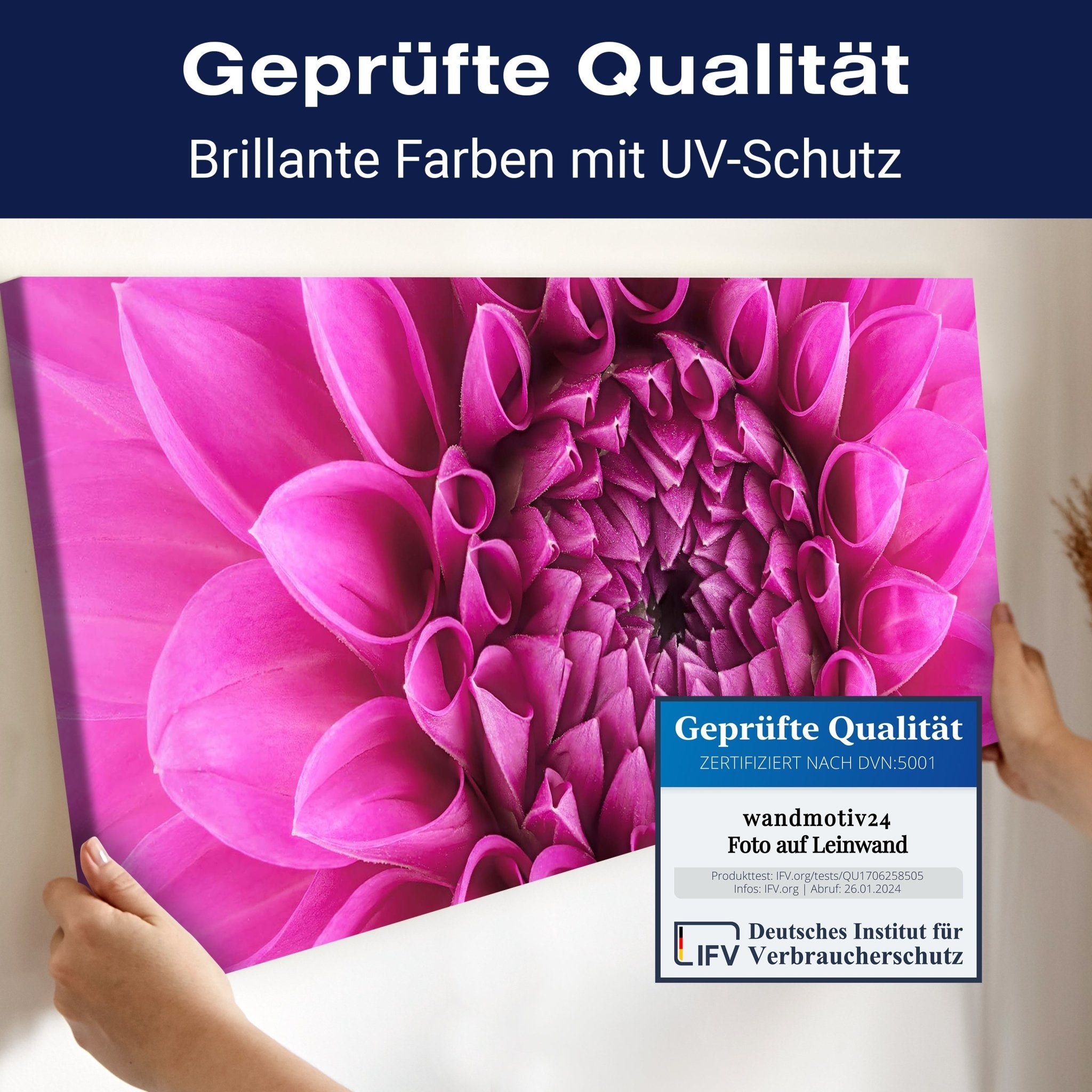 Leinwandbild Blume Blüte rosa Chrysantheme M1127 kaufen - Bild 4 Leinwandbild Blume Blüte rosa Chrysantheme M1127 kaufen - Bild 4