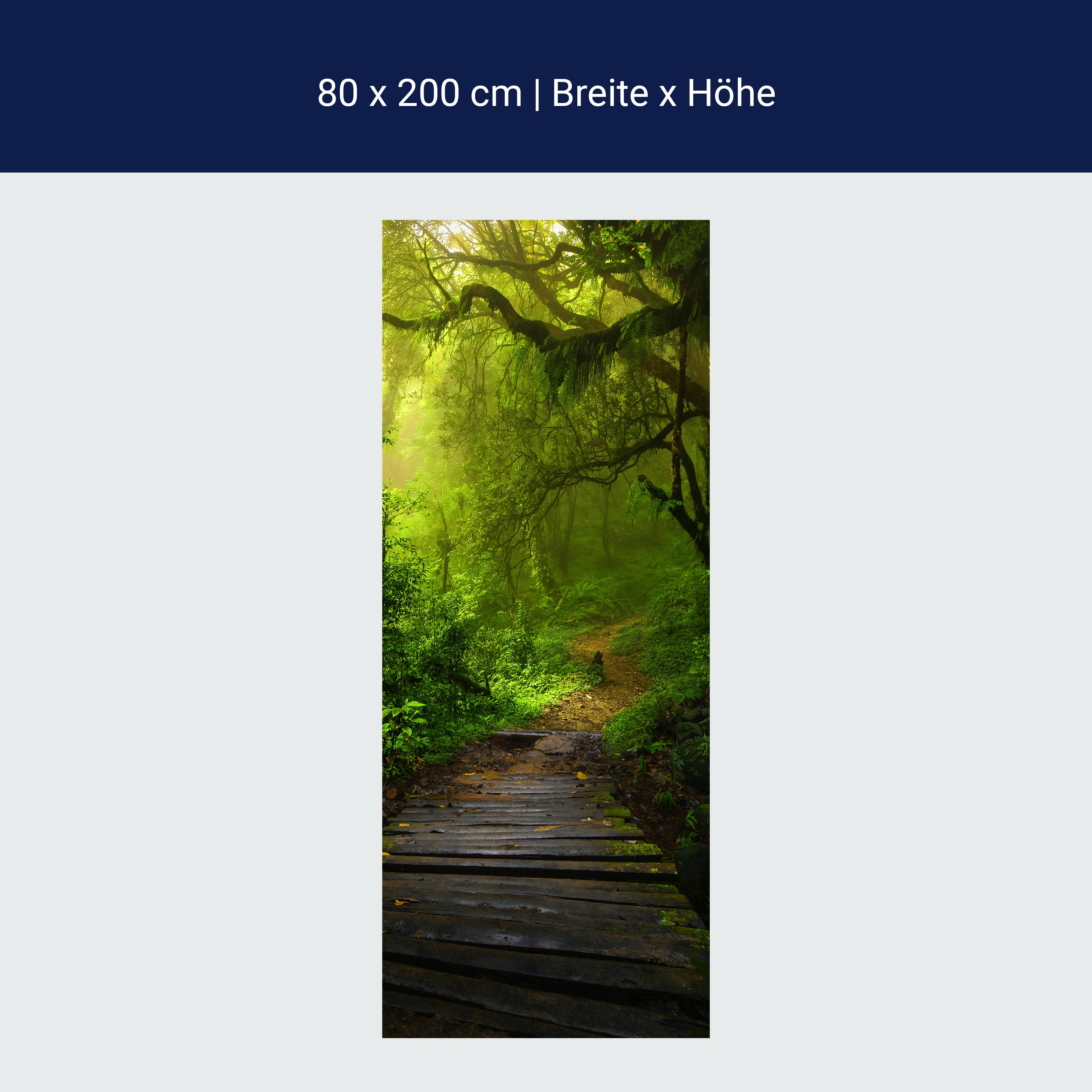 Türtapete Holz-weg in mystischem Wald, Urwald M1127 Türtapete Holz-weg in mystischem Wald, Urwald M1127