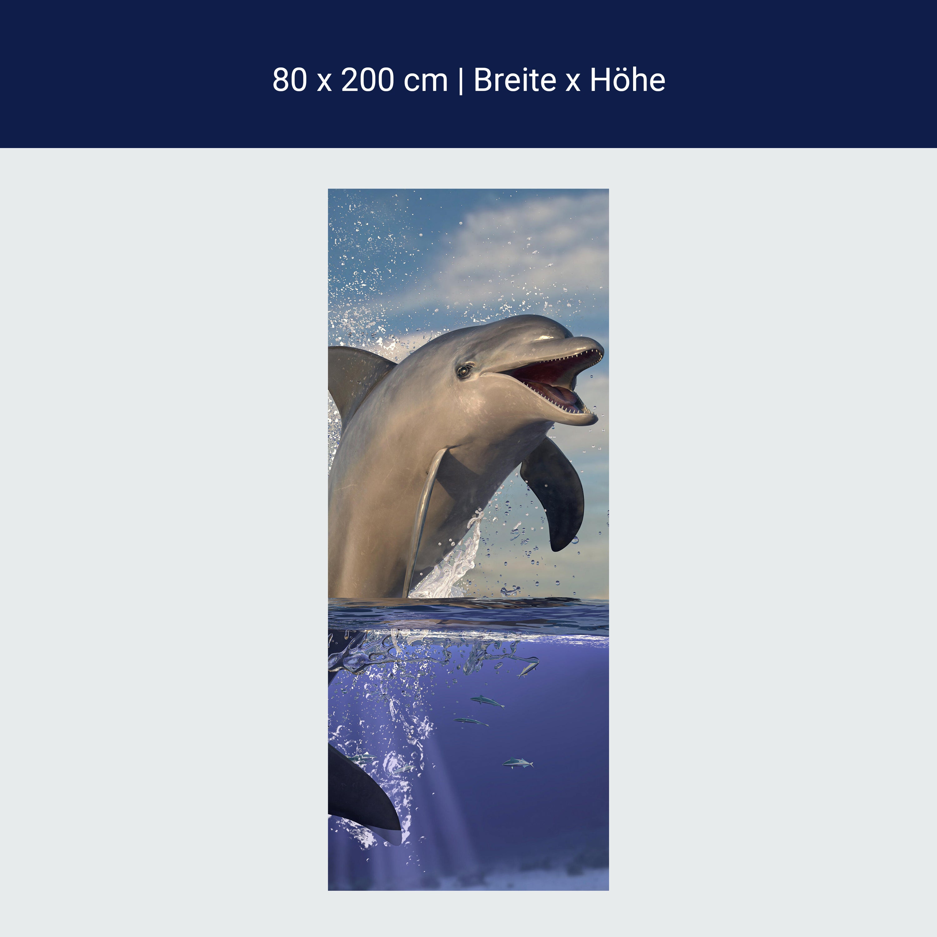 Türtapete springender Delfin, Säugetier, Sonne M1129 Türtapete springender Delfin, Säugetier, Sonne M1129