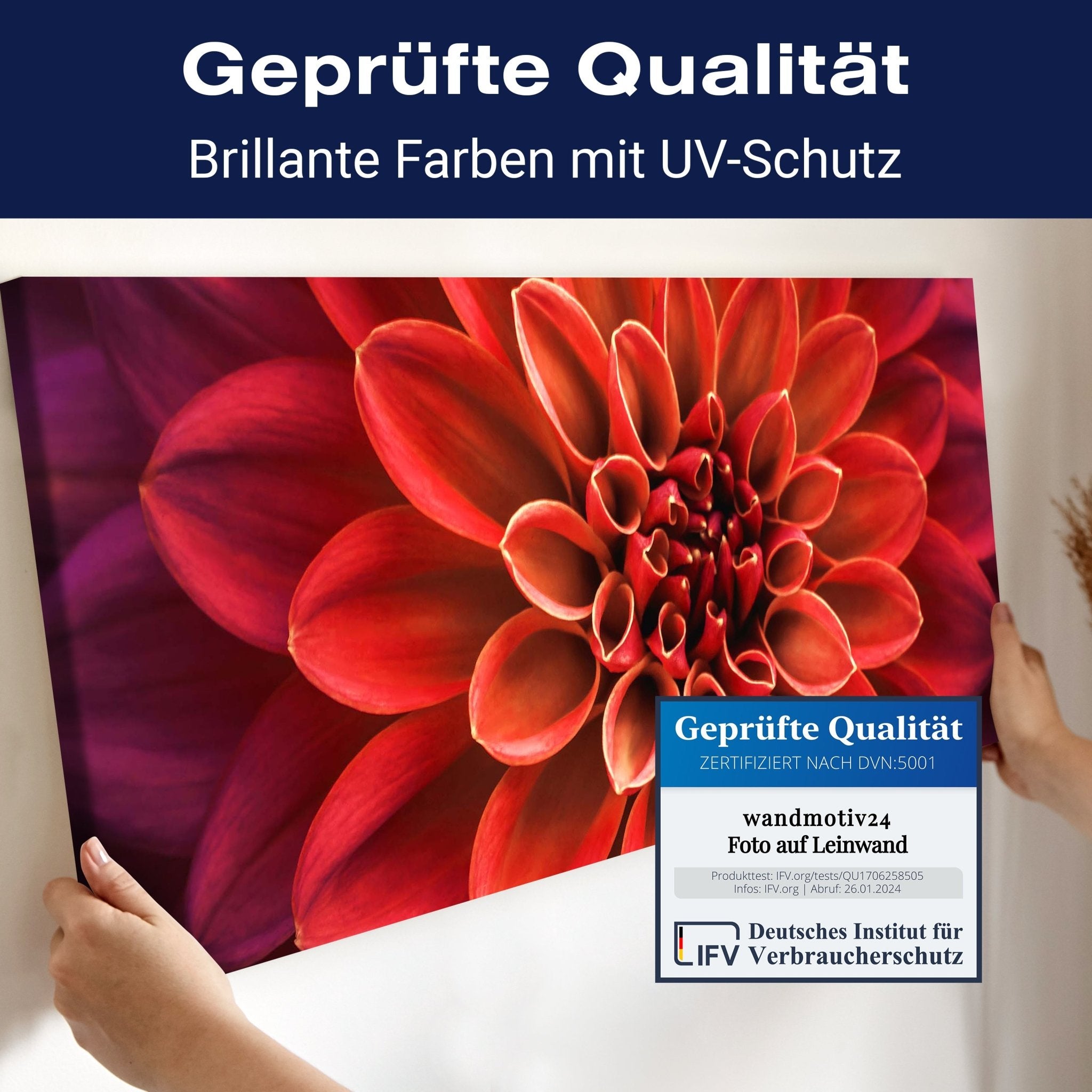 Leinwandbild Blüte Blume orange Dahlie violett M1133 kaufen - Bild 4 Leinwandbild Blüte Blume orange Dahlie violett M1133 kaufen - Bild 4