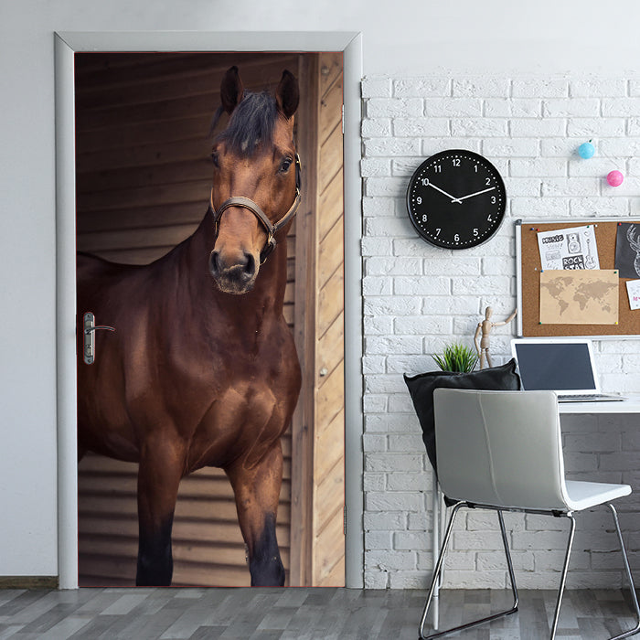 Türtapete Pferd an Stall-tür, Tiere, Reiten, Box M1137 - Bild 1 Türtapete Pferd an Stall-tür, Tiere, Reiten, Box M1137 - Bild 1
