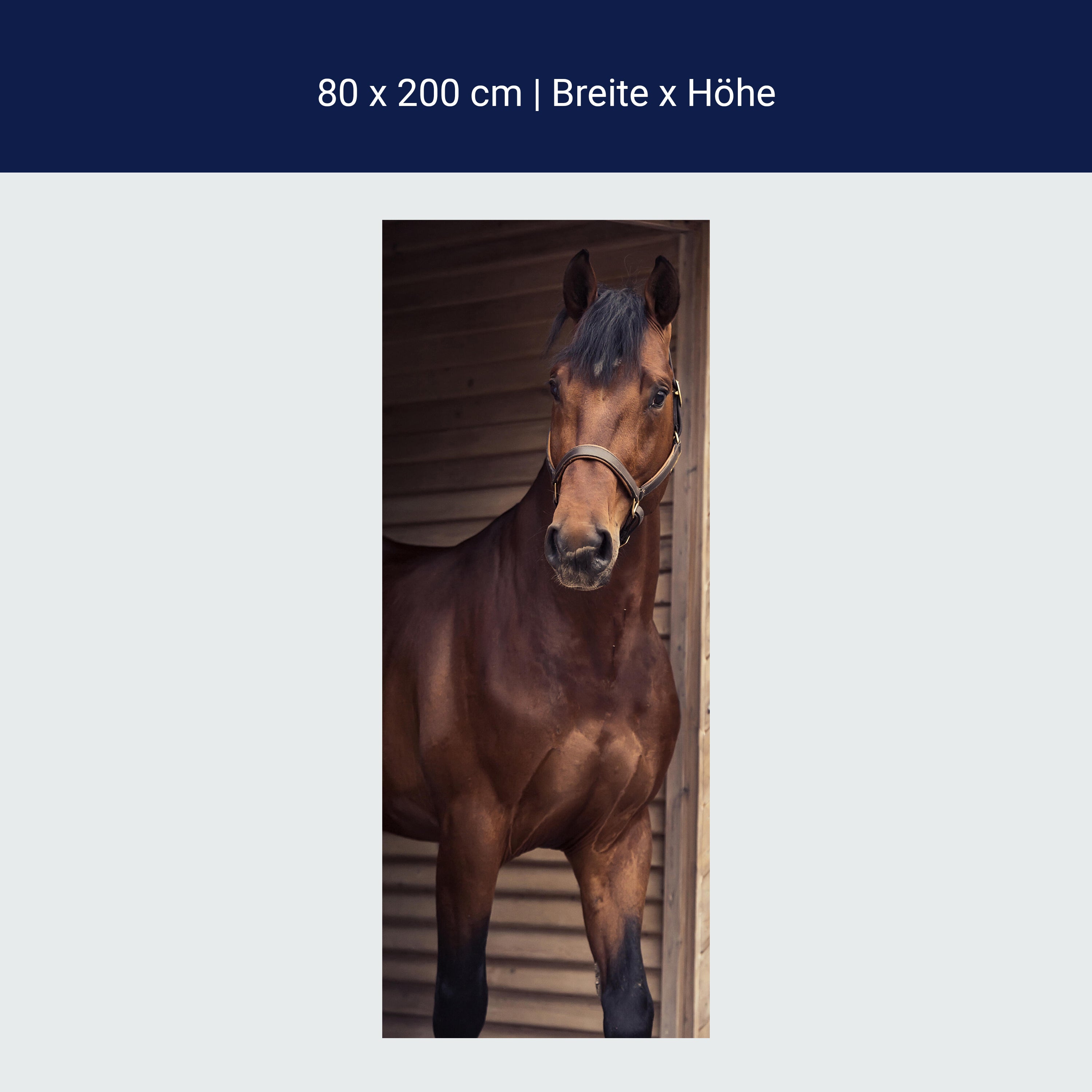 Türtapete Pferd an Stall-tür, Tiere, Reiten, Box M1137 Türtapete Pferd an Stall-tür, Tiere, Reiten, Box M1137