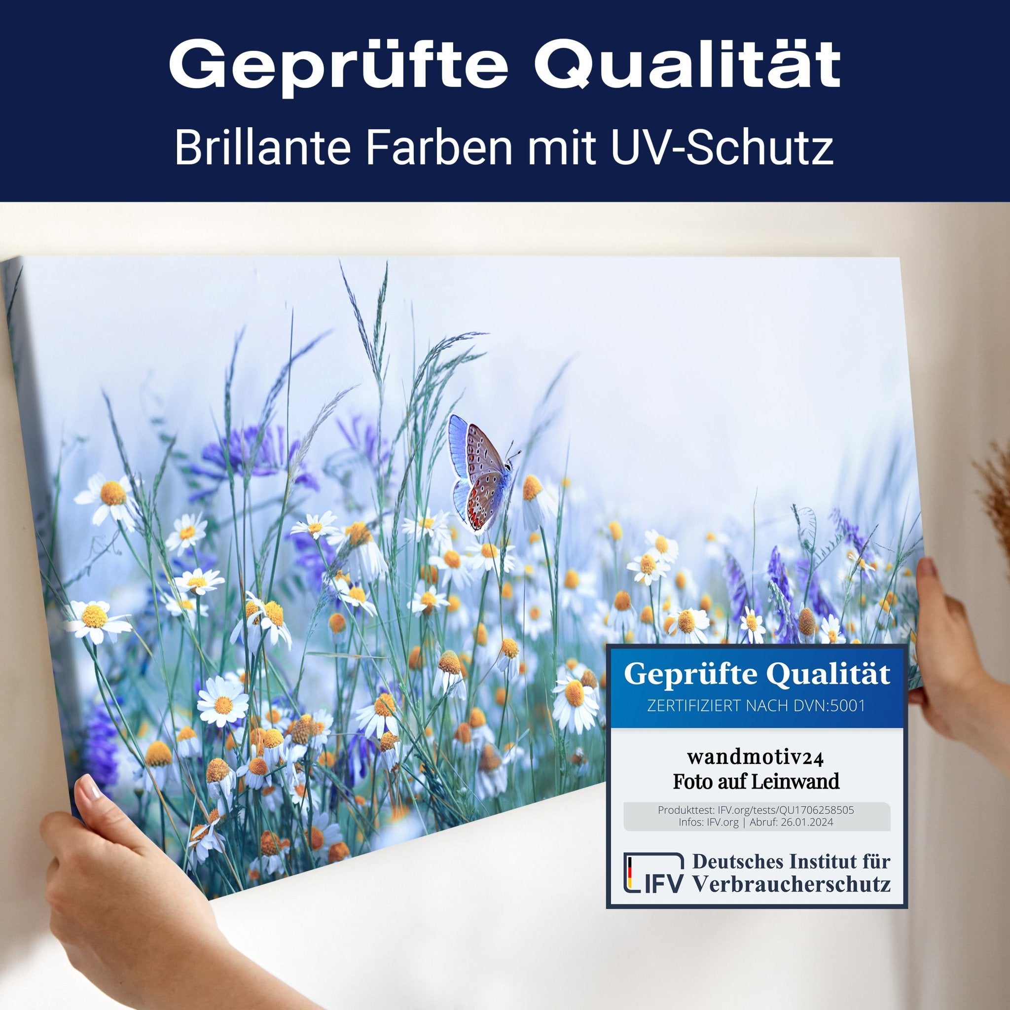 Leinwandbild Blumen, Schmetterling, Natur Landschaft M1149 kaufen - Bild 4 Leinwandbild Blumen, Schmetterling, Natur Landschaft M1149 kaufen - Bild 4