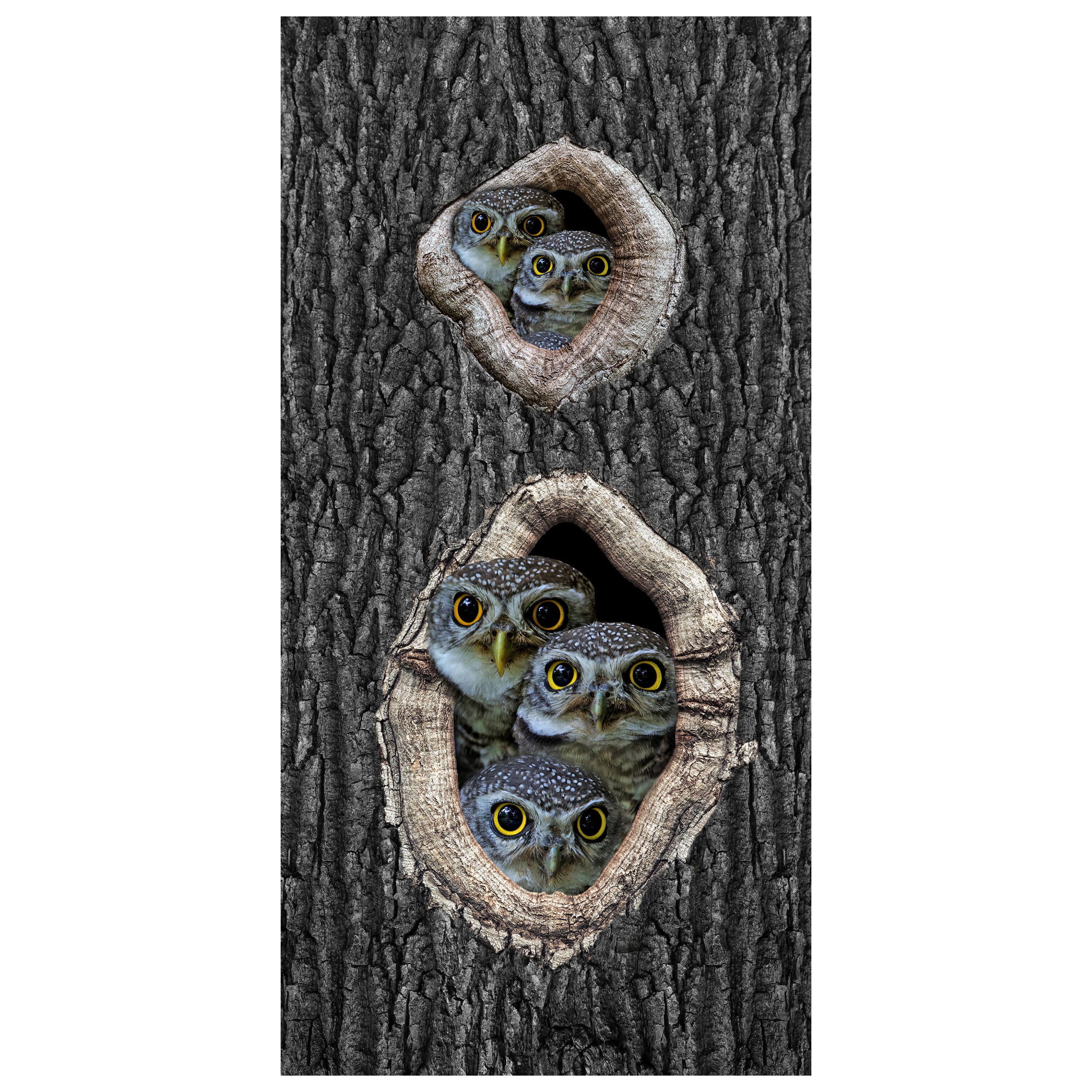 Türtapete Eulen im Baum, Familie, Vögel, Wald M1149 - Bild 2 Türtapete Eulen im Baum, Familie, Vögel, Wald M1149 - Bild 2