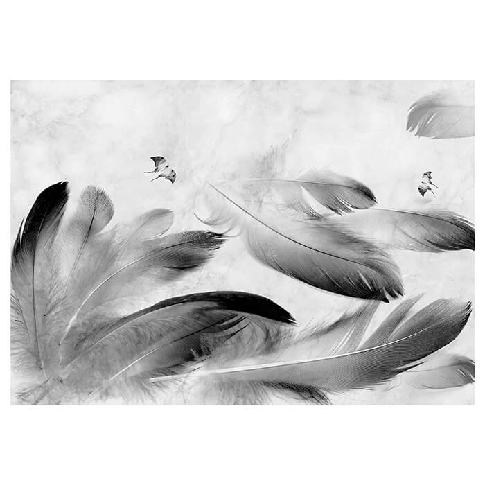 Fototapete Graue Federn Schmetterling M1150 - Bild 2 Fototapete Graue Federn Schmetterling M1150 - Bild 2