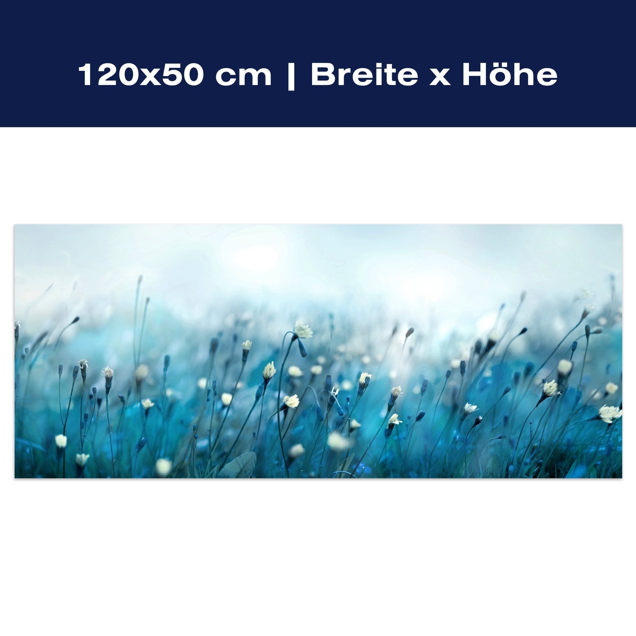 Leinwandbild Blaues Blumenfeld M1152 Leinwandbild Blaues Blumenfeld M1152