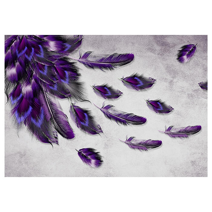 Fototapete Violetter Pfau Feder M1152 - Bild 2 Fototapete Violetter Pfau Feder M1152 - Bild 2