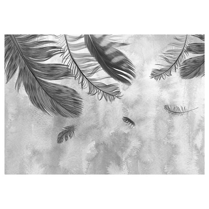 Fototapete Graue Feder Aquarell M1158 - Bild 2 Fototapete Graue Feder Aquarell M1158 - Bild 2