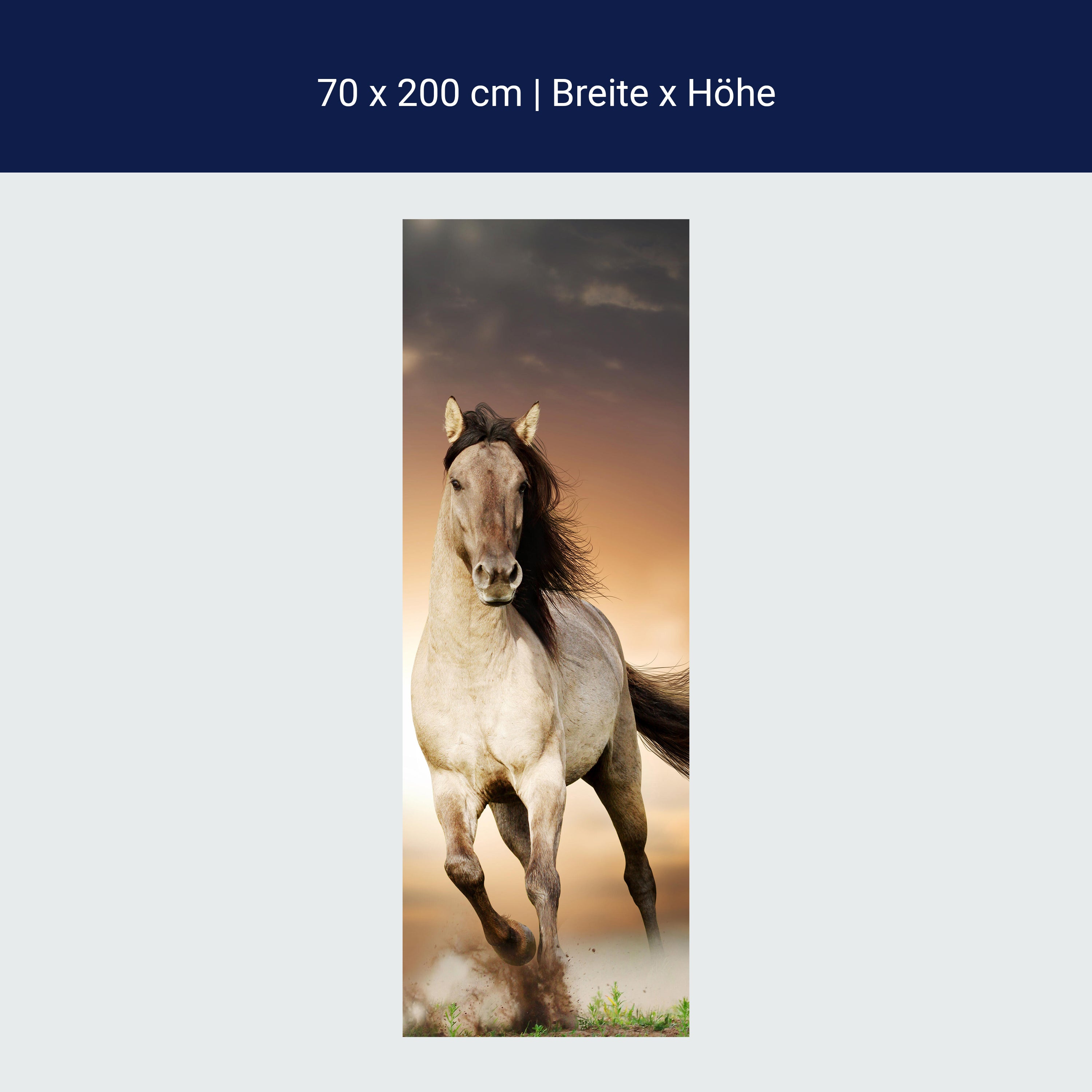 Türtapete Pferd rennt über Wiese, Schimmel, Weiß M1158 Türtapete Pferd rennt über Wiese, Schimmel, Weiß M1158