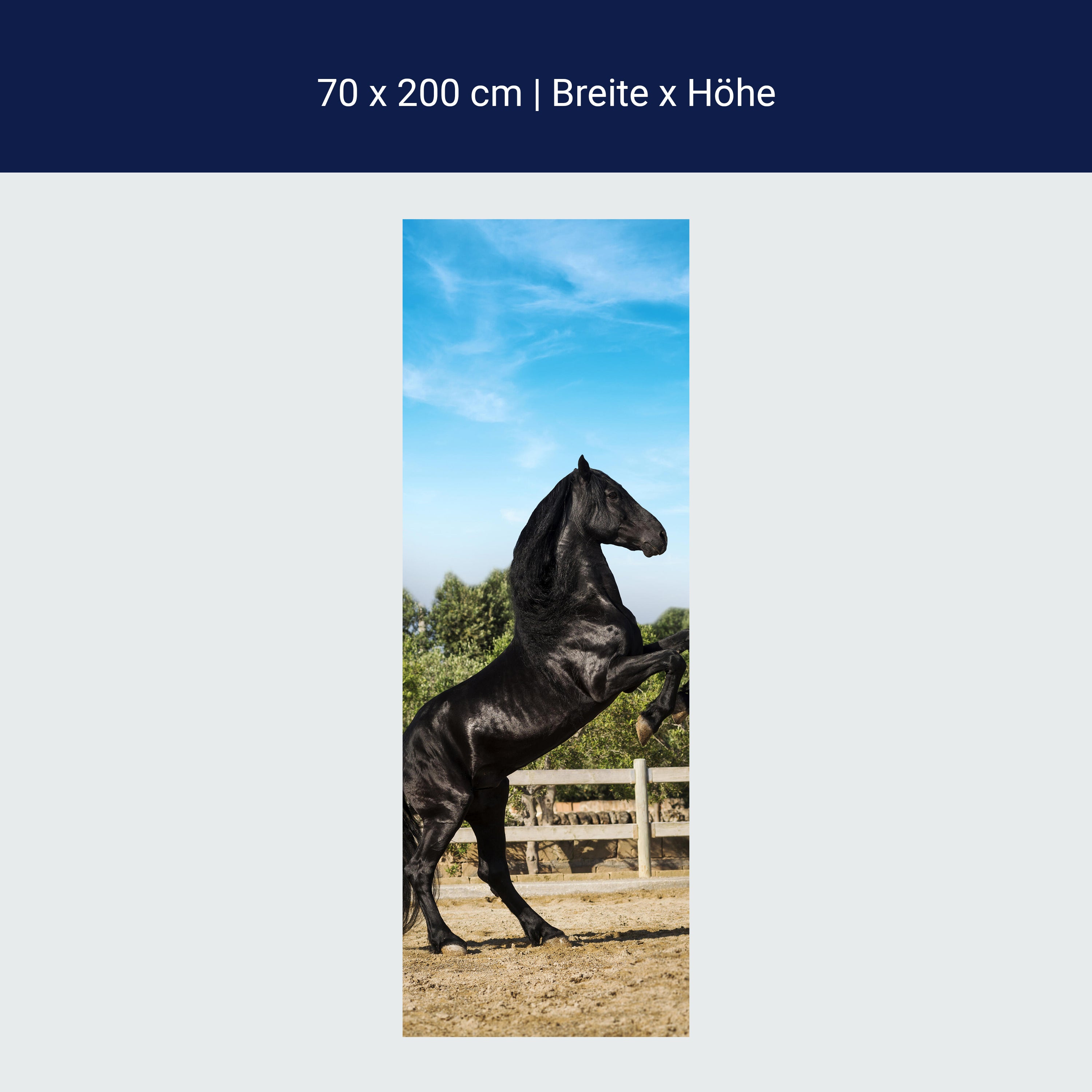 Türtapete Schwarzer Pferd steht auf Hinterbeinen M1167 Türtapete Schwarzer Pferd steht auf Hinterbeinen M1167