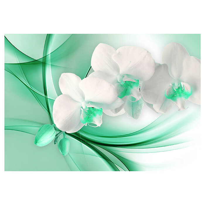 Fototapete helle grüne Orchidee M1170 - Bild 2 Fototapete helle grüne Orchidee M1170 - Bild 2