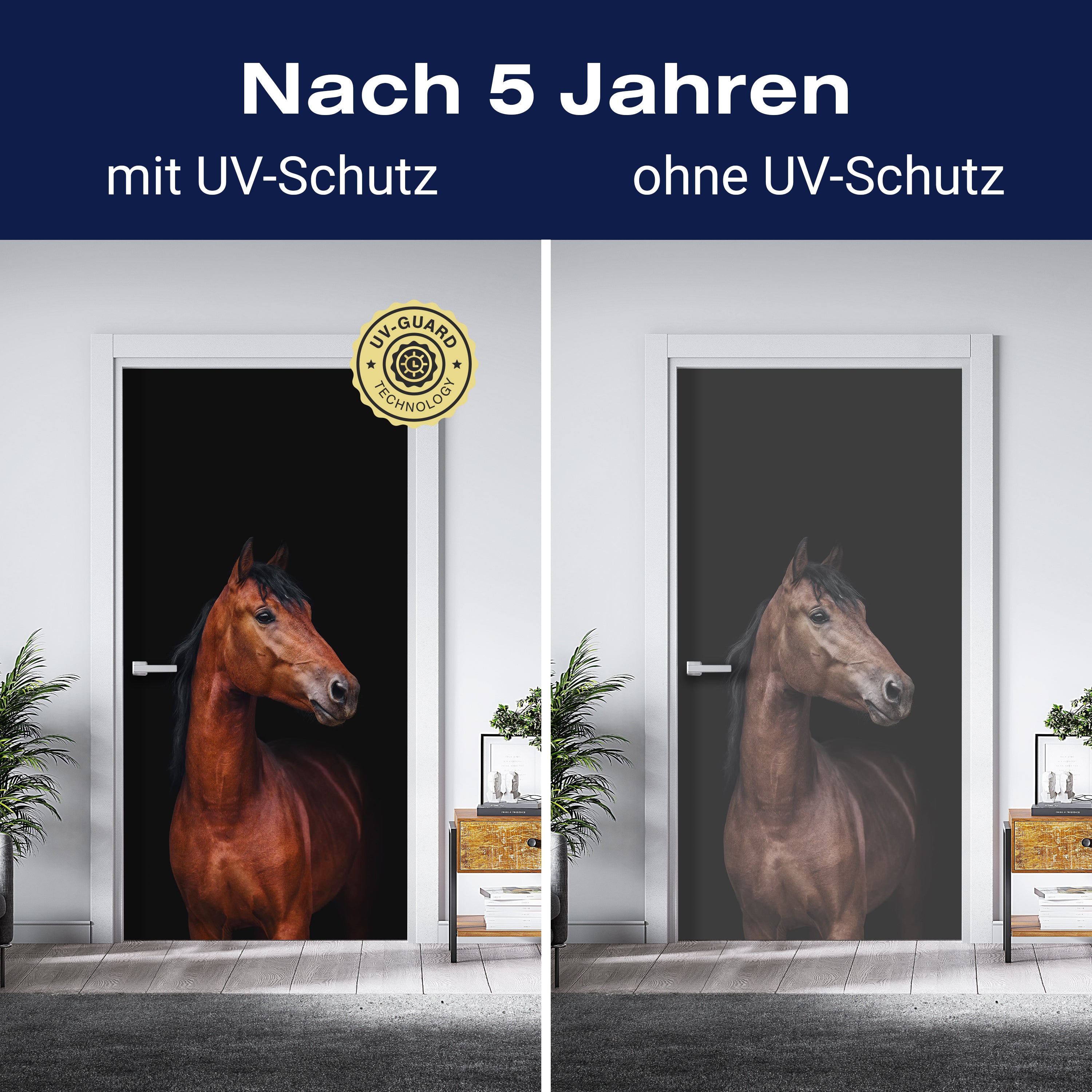 Türtapete braunes Pferd vor schwarzem Hintergrund M1173 - Bild 4 Türtapete braunes Pferd vor schwarzem Hintergrund M1173 - Bild 4