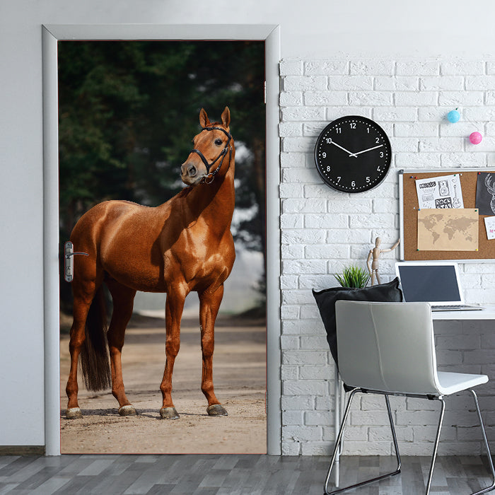 Türtapete braunes Pferd auf Straße, Bäume M1184 - Bild 1 Türtapete braunes Pferd auf Straße, Bäume M1184 - Bild 1