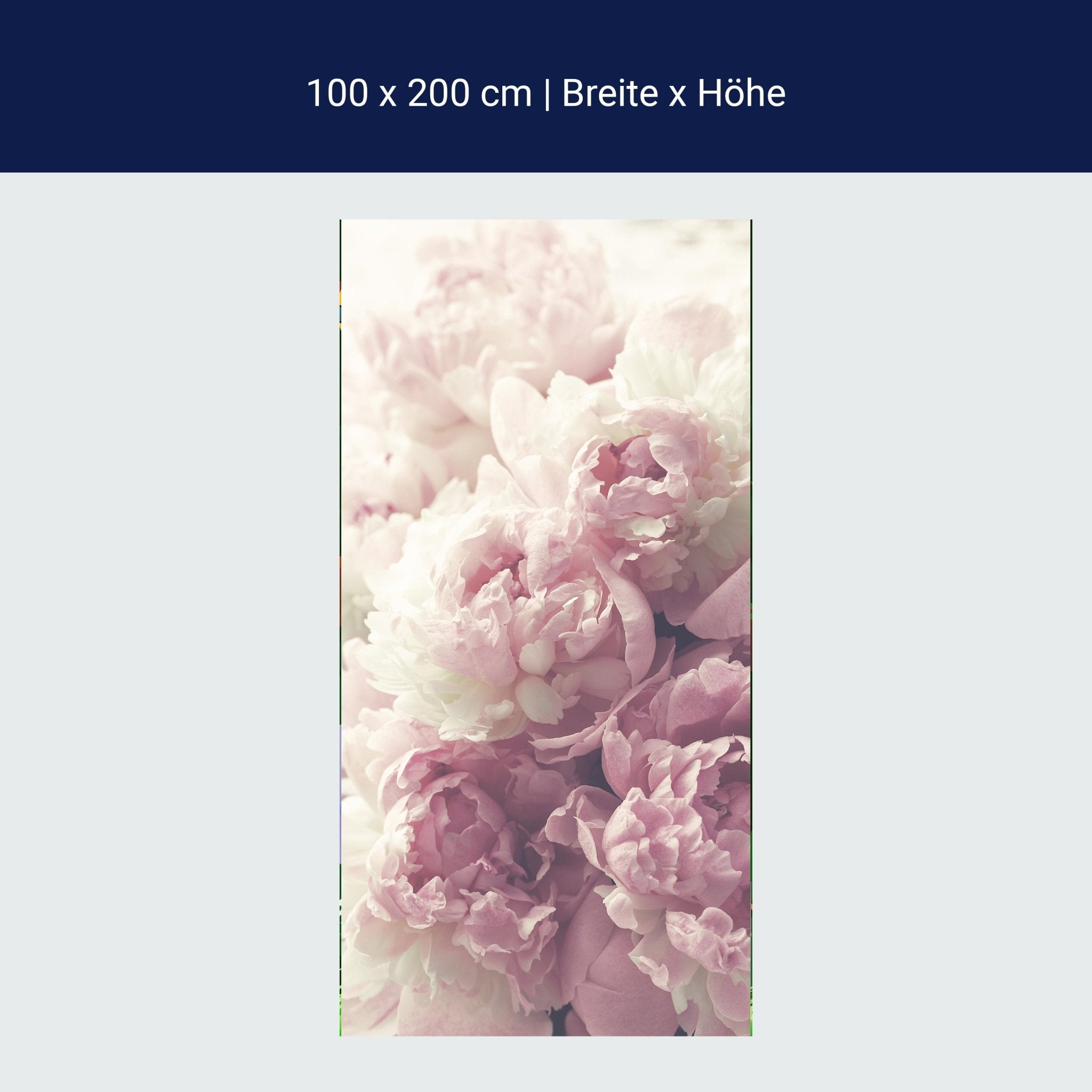 Türtapete Duftrosen Rosa Weiß, Rose, Blumen M1225 Türtapete Duftrosen Rosa Weiß, Rose, Blumen M1225