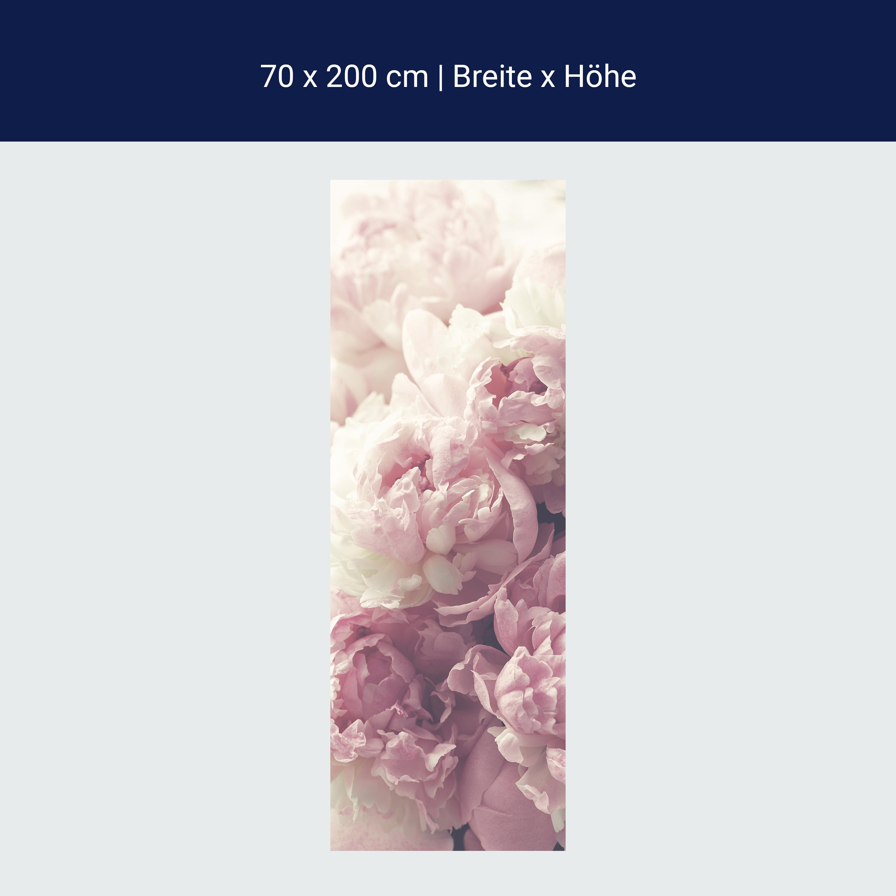 Türtapete Duftrosen Rosa Weiß, Rose, Blumen M1225 Türtapete Duftrosen Rosa Weiß, Rose, Blumen M1225