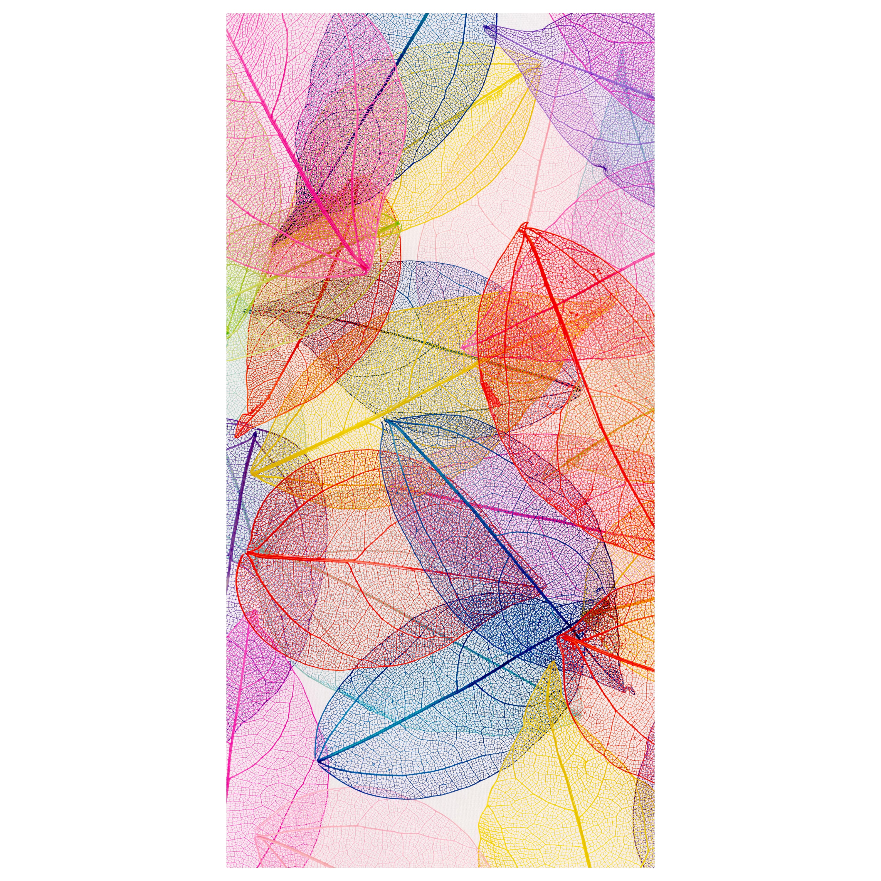 Türtapete bunte Blätter, Blatt Skelett, Pflanzen M1226 - Bild 2 Türtapete bunte Blätter, Blatt Skelett, Pflanzen M1226 - Bild 2