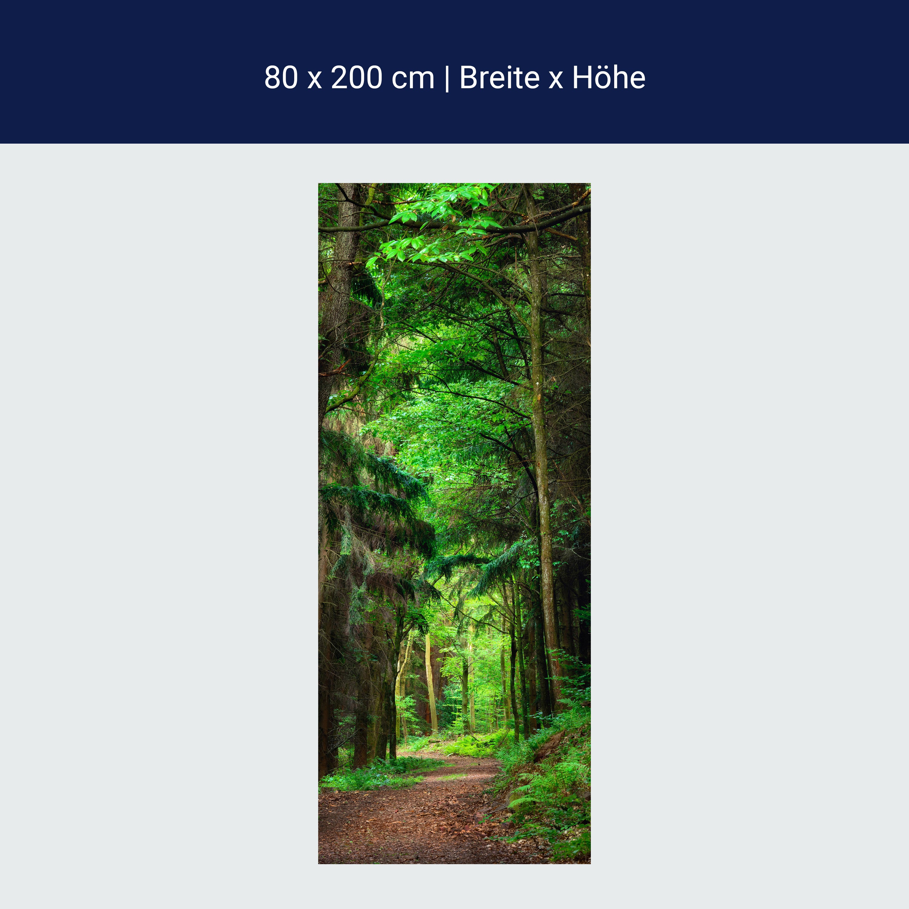 Türtapete Waldweg am Tag, Wälder, Bäume, Grün M1244 Türtapete Waldweg am Tag, Wälder, Bäume, Grün M1244