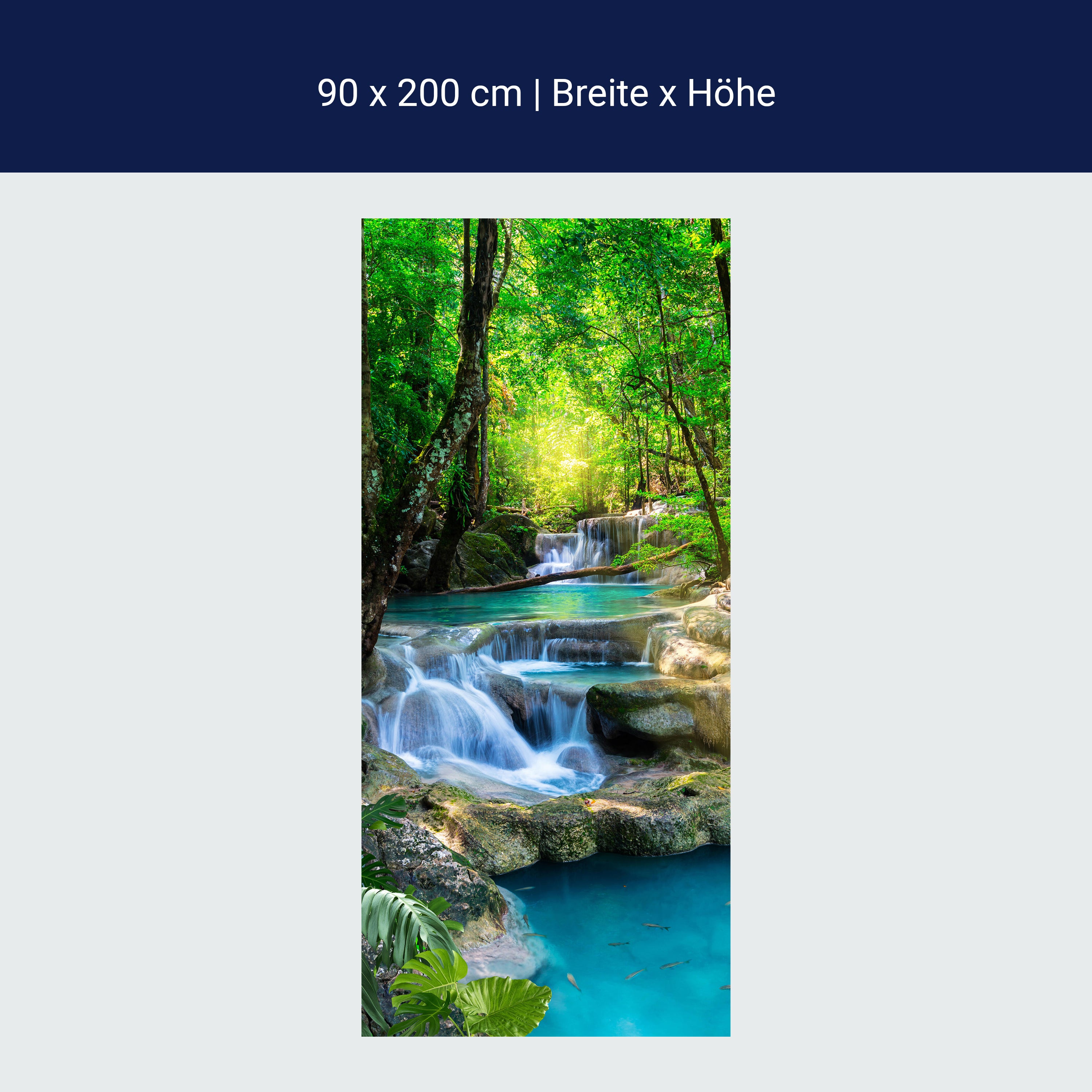 Türtapete Wasser Treppen im Wald, Natur, Bäume M1295 Türtapete Wasser Treppen im Wald, Natur, Bäume M1295