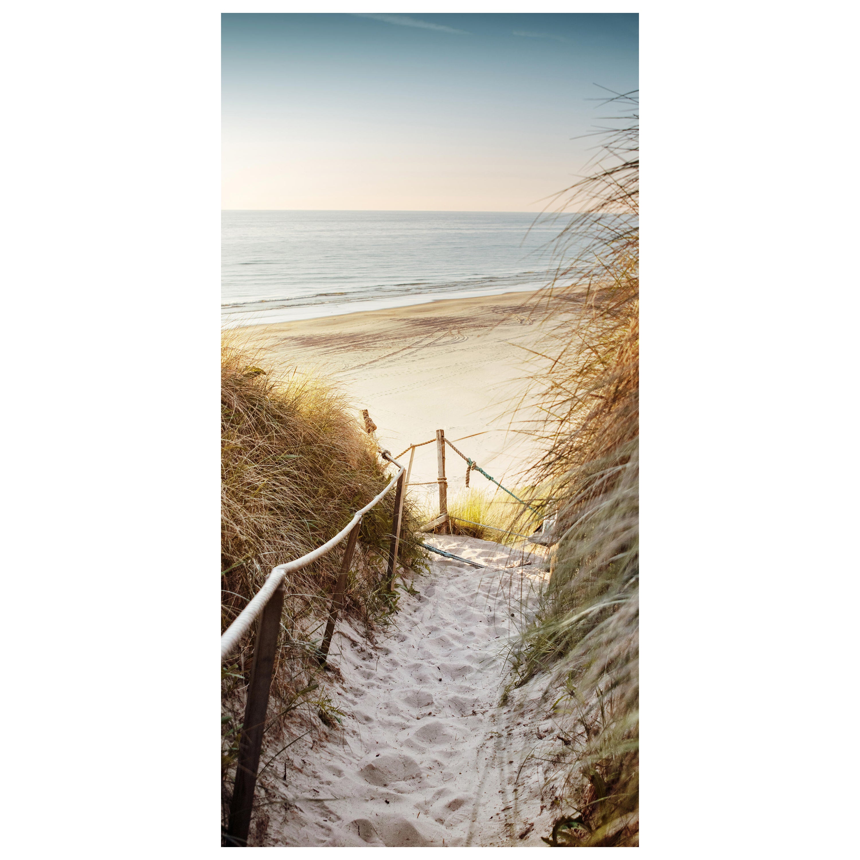 Türtapete Weg zum Strand, Seil, Meer, Düne, Schilf M1301 - Bild 2 Türtapete Weg zum Strand, Seil, Meer, Düne, Schilf M1301 - Bild 2