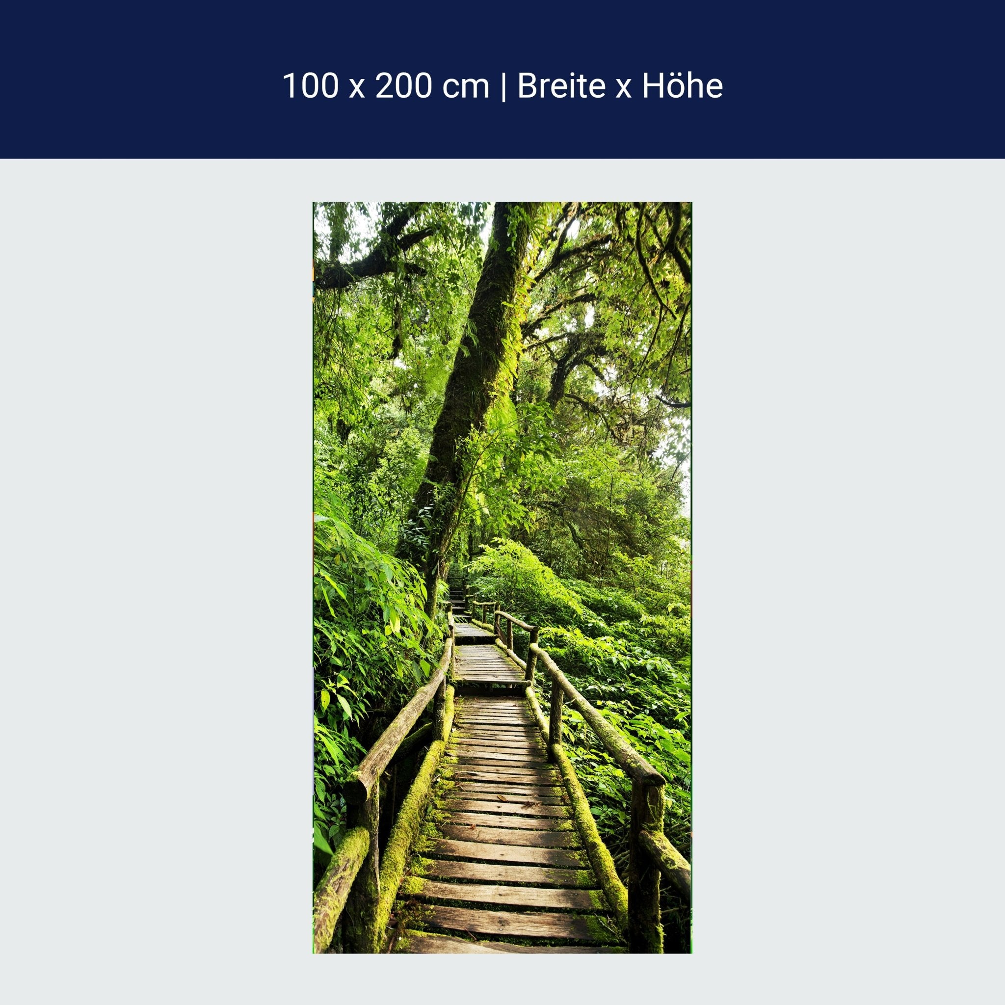 Türtapete Holz Weg im Dschungel, Bäume, Urwald M1339 Türtapete Holz Weg im Dschungel, Bäume, Urwald M1339