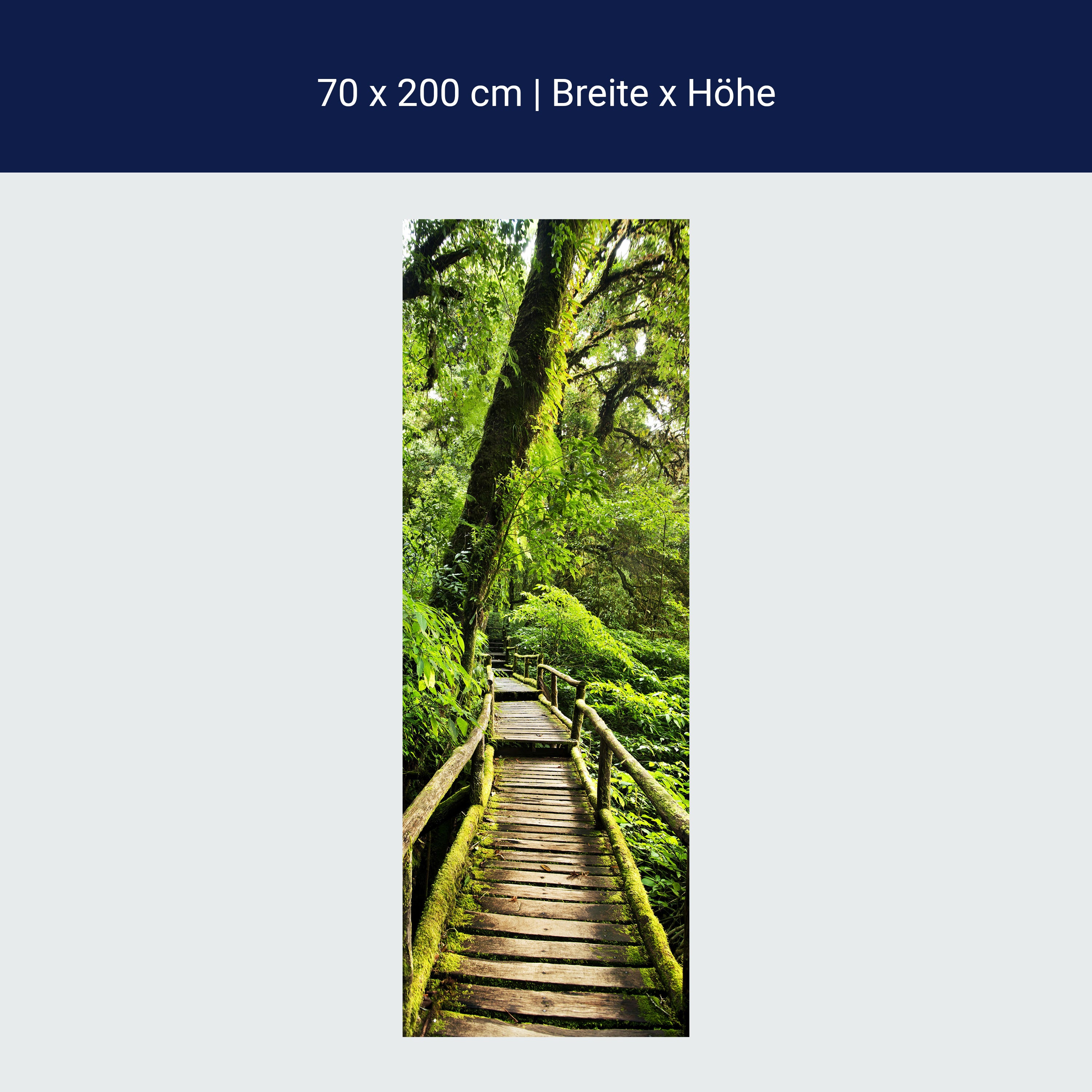 Türtapete Holz Weg im Dschungel, Bäume, Urwald M1339 Türtapete Holz Weg im Dschungel, Bäume, Urwald M1339