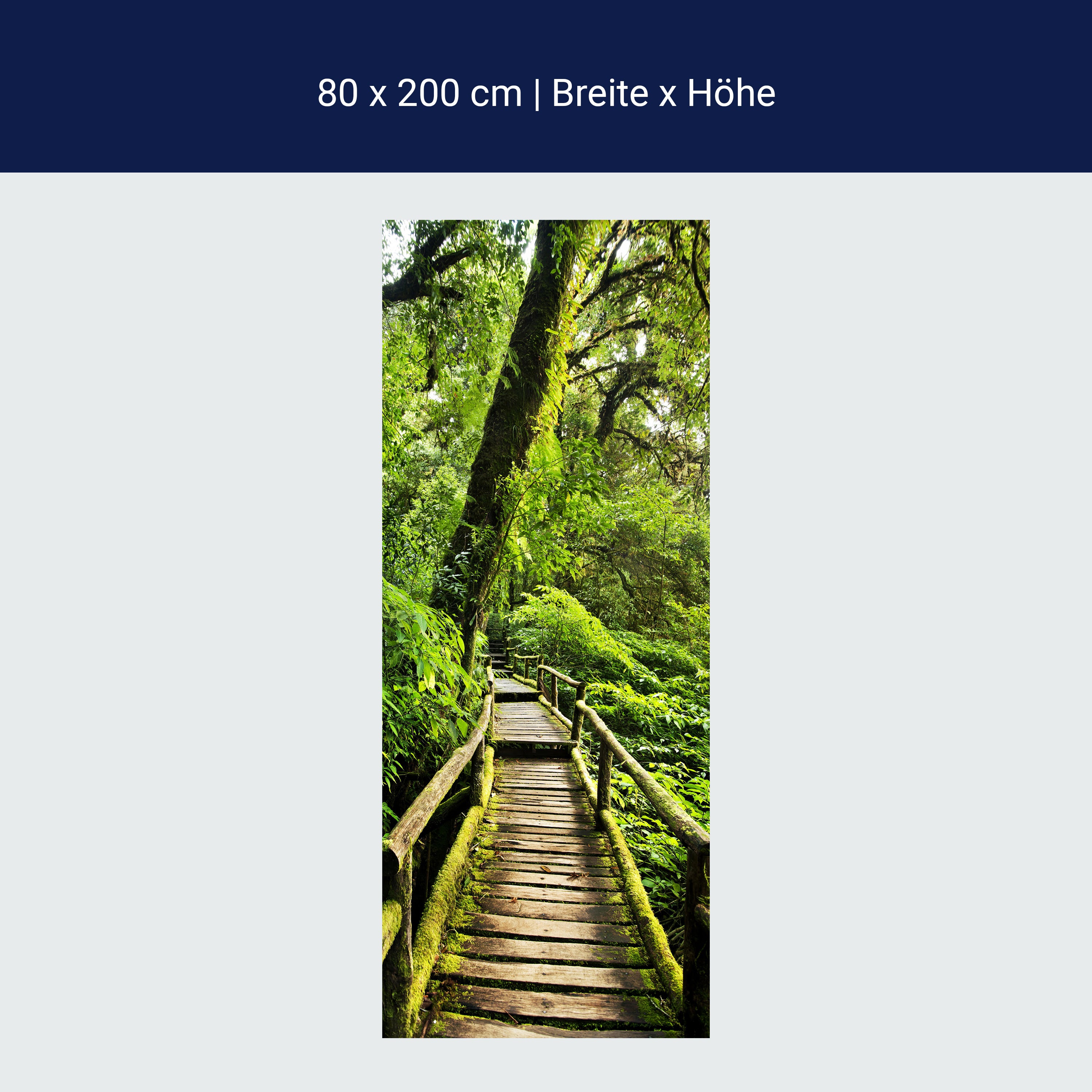 Türtapete Holz Weg im Dschungel, Bäume, Urwald M1339 Türtapete Holz Weg im Dschungel, Bäume, Urwald M1339