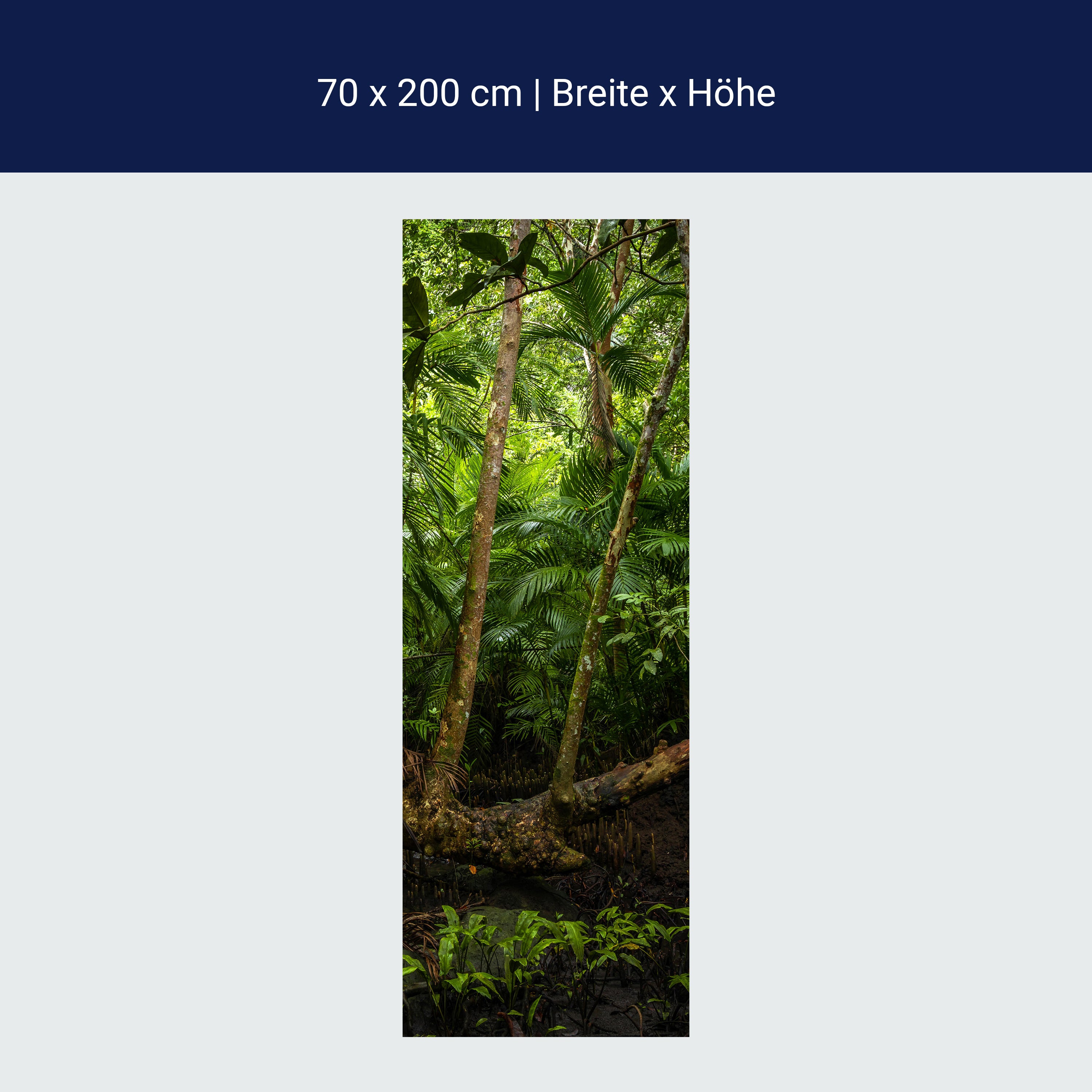 Türtapete Baum im Dschungel, Urwald, Regenwald M1353 Türtapete Baum im Dschungel, Urwald, Regenwald M1353