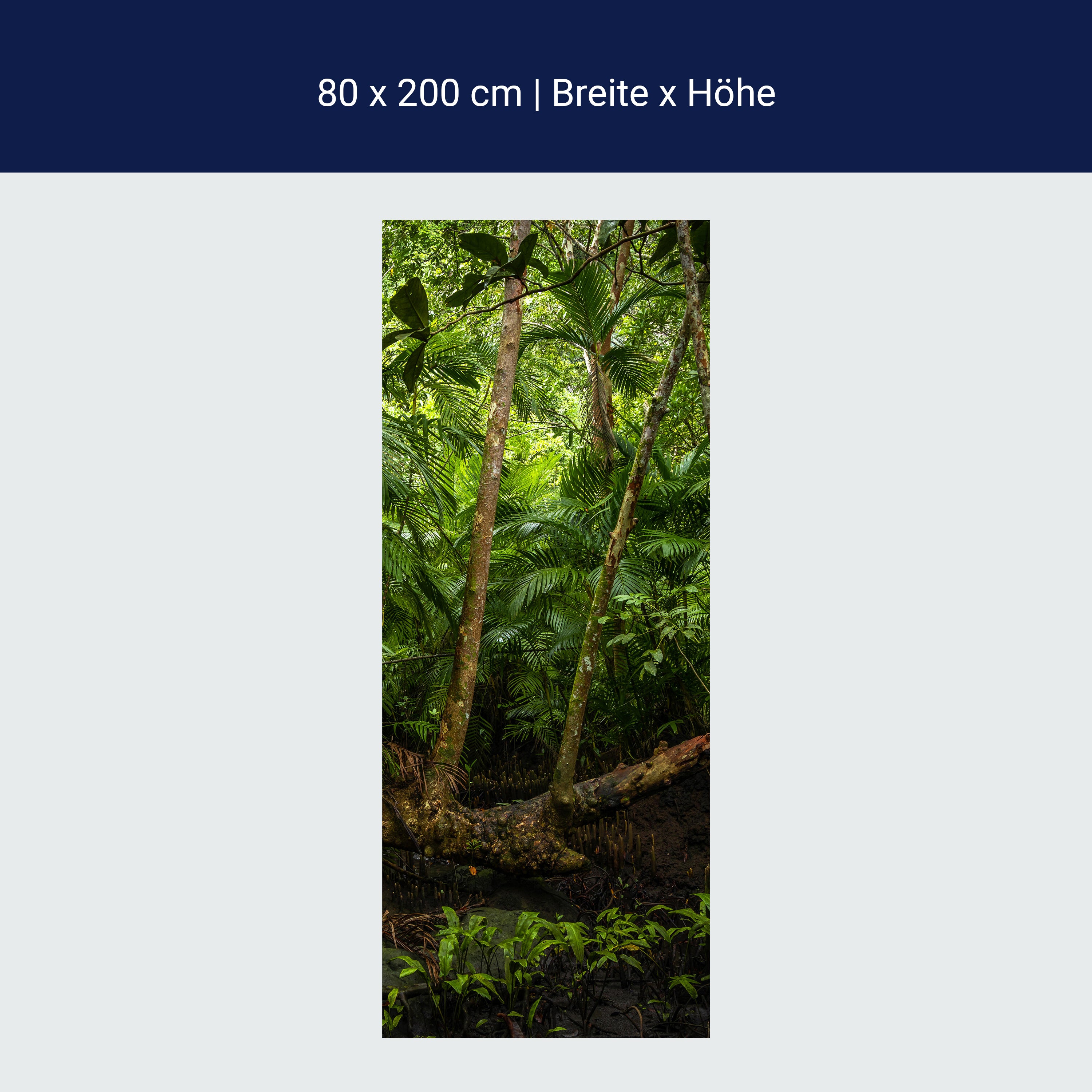 Türtapete Baum im Dschungel, Urwald, Regenwald M1353 Türtapete Baum im Dschungel, Urwald, Regenwald M1353