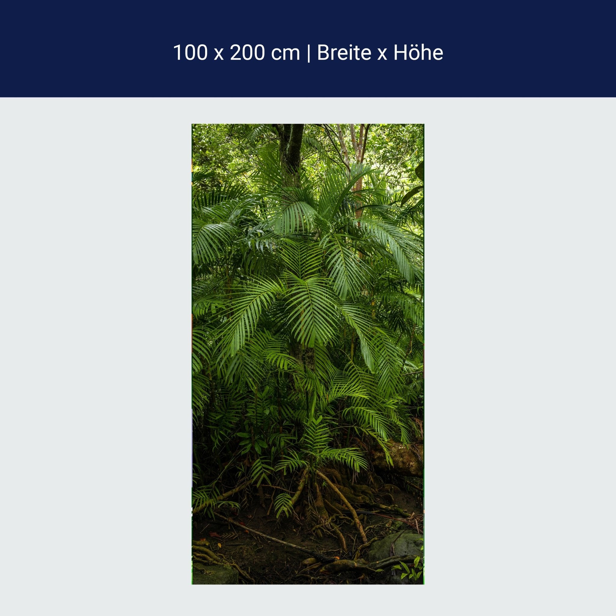 Türtapete Palmenwedel, Dschungel, Palme, Urwald M1354 Türtapete Palmenwedel, Dschungel, Palme, Urwald M1354