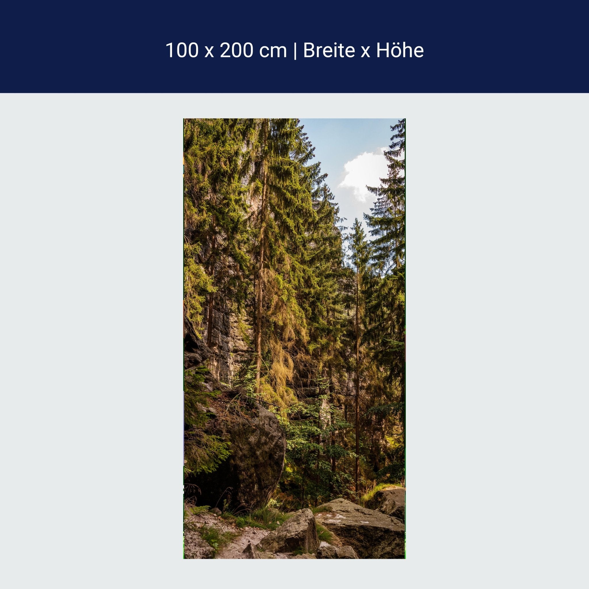 Türtapete Nadelwald & Felsen, Bäume, Wald, Natur M1392 Türtapete Nadelwald & Felsen, Bäume, Wald, Natur M1392